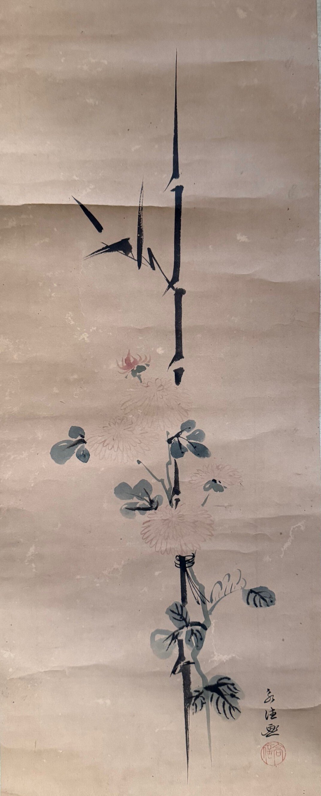 伝狩野高信（永徳）筆「菊図」｜Hiroyuki Yokoyama