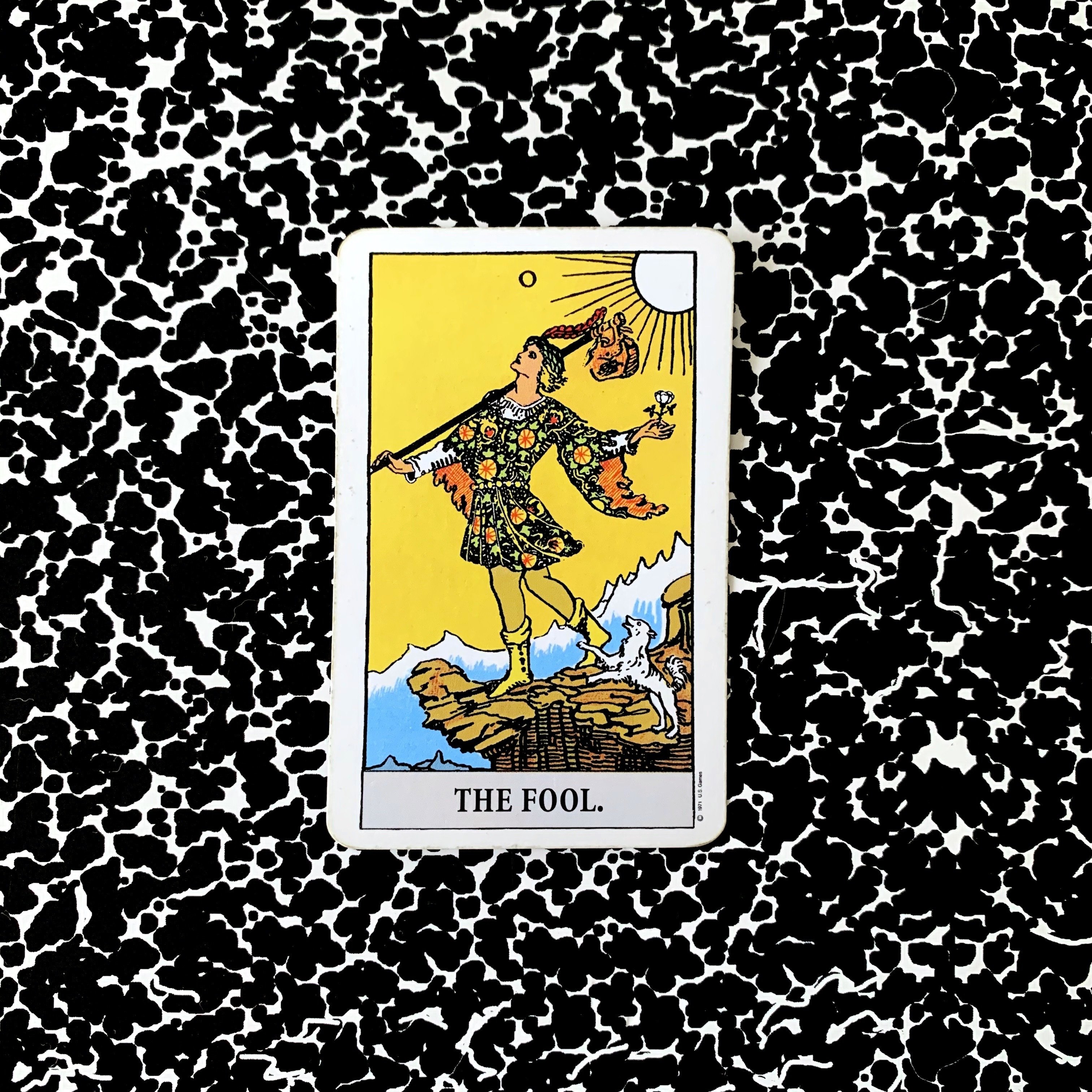 2/23 Tarot Reading of the Day♡｜miriishii