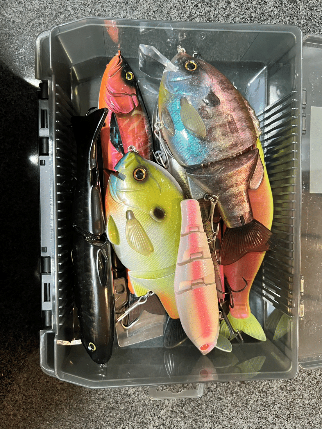 ビックベイトボックス（入れる箱） オススメ2選｜newton