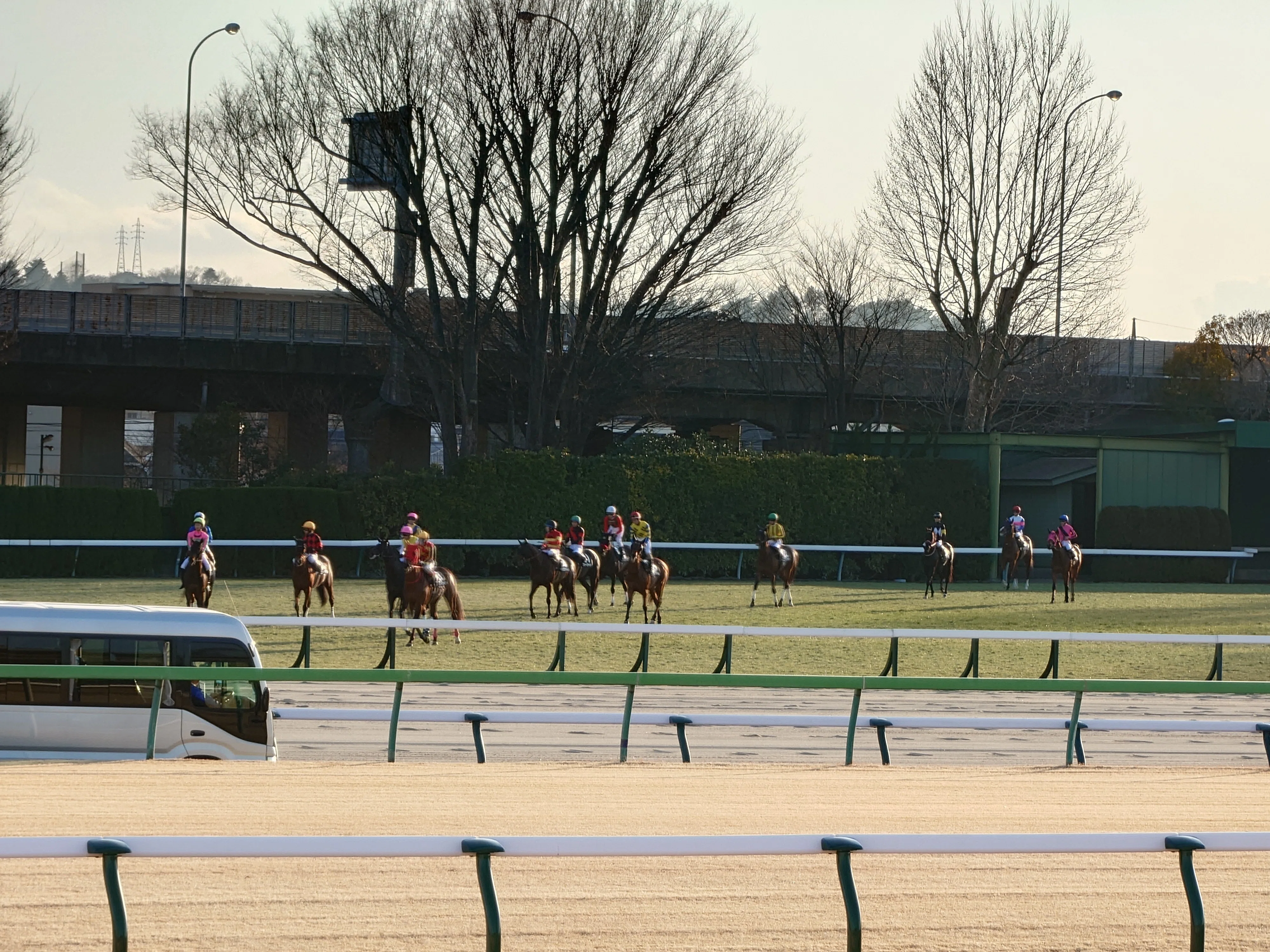 内馬場ダッシュ 東京競馬場編｜horseracing lover