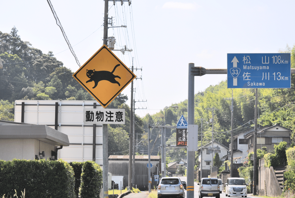 全国でもかなり珍しい！「ネコに注意」標識 (高知・いの町)｜道路標識