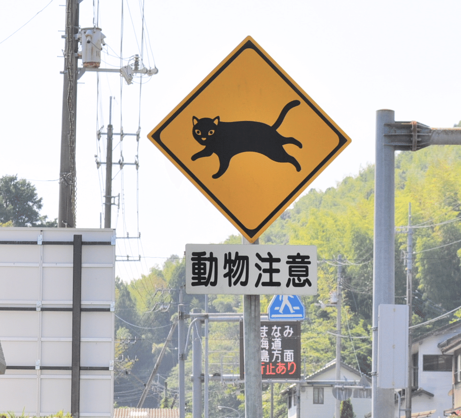 全国でもかなり珍しい！「ネコに注意」標識 (高知・いの町)｜道路標識
