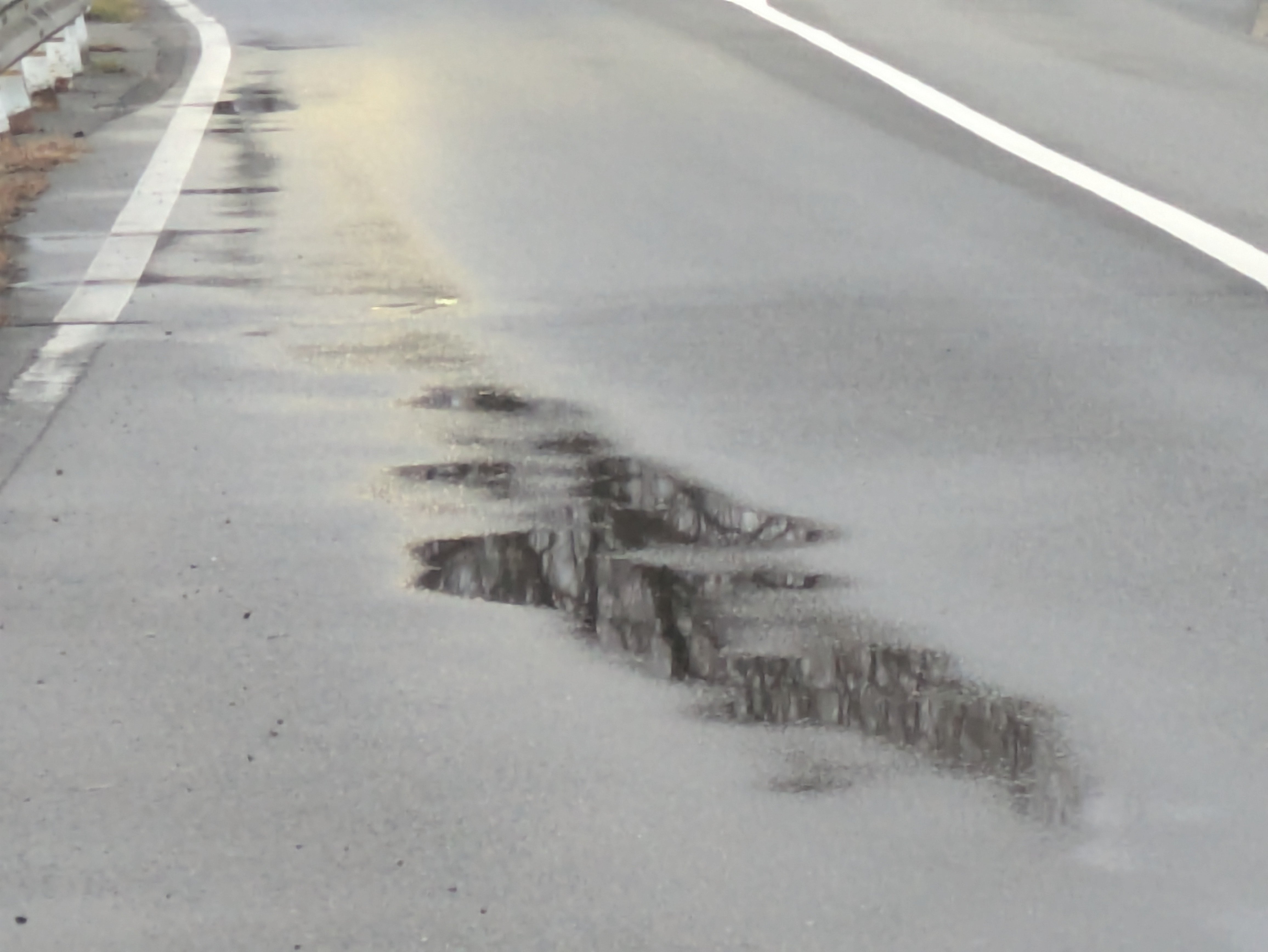 一枚の画像〜雨上がりの朝｜ichiro70