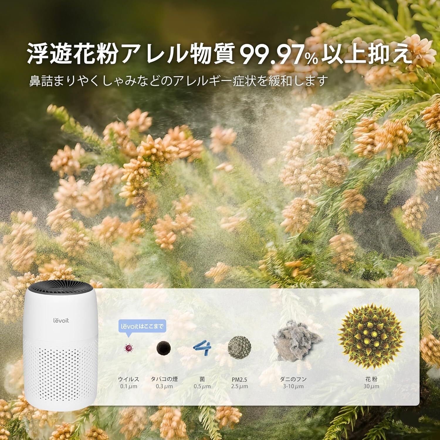 ガチで花粉症対策におすすめ！コスパ最強の空気清浄機「Levoit