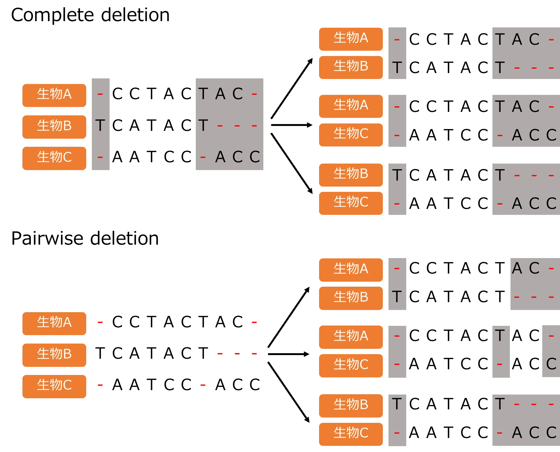 進化距離(evolutionary distance)の意味と計算方法｜Takuma Nishimaki
