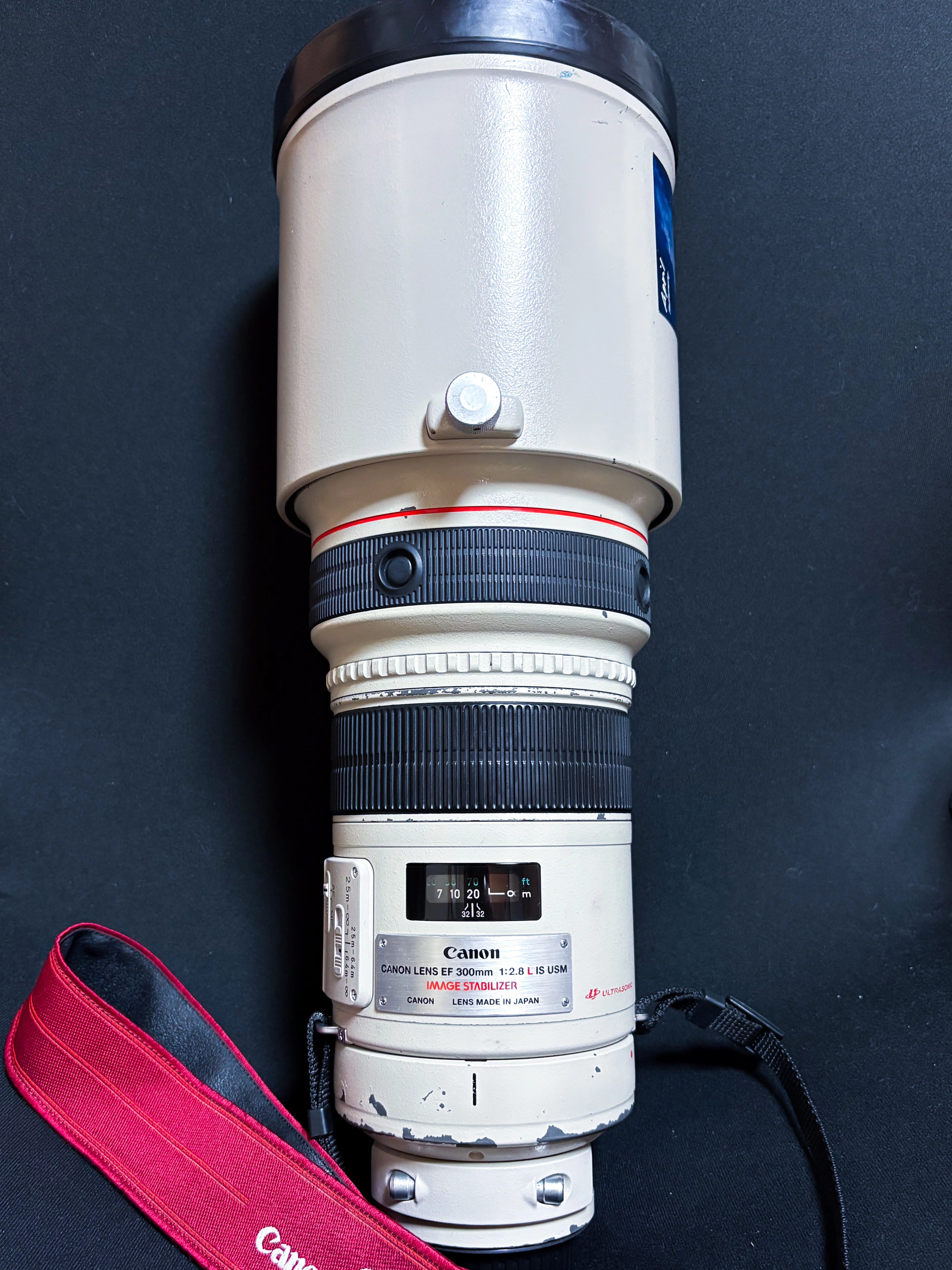 canon 300f2.8 サンニッパ サンニッパ」300mm f2.8レンズを買った理由｜Alice_photolog