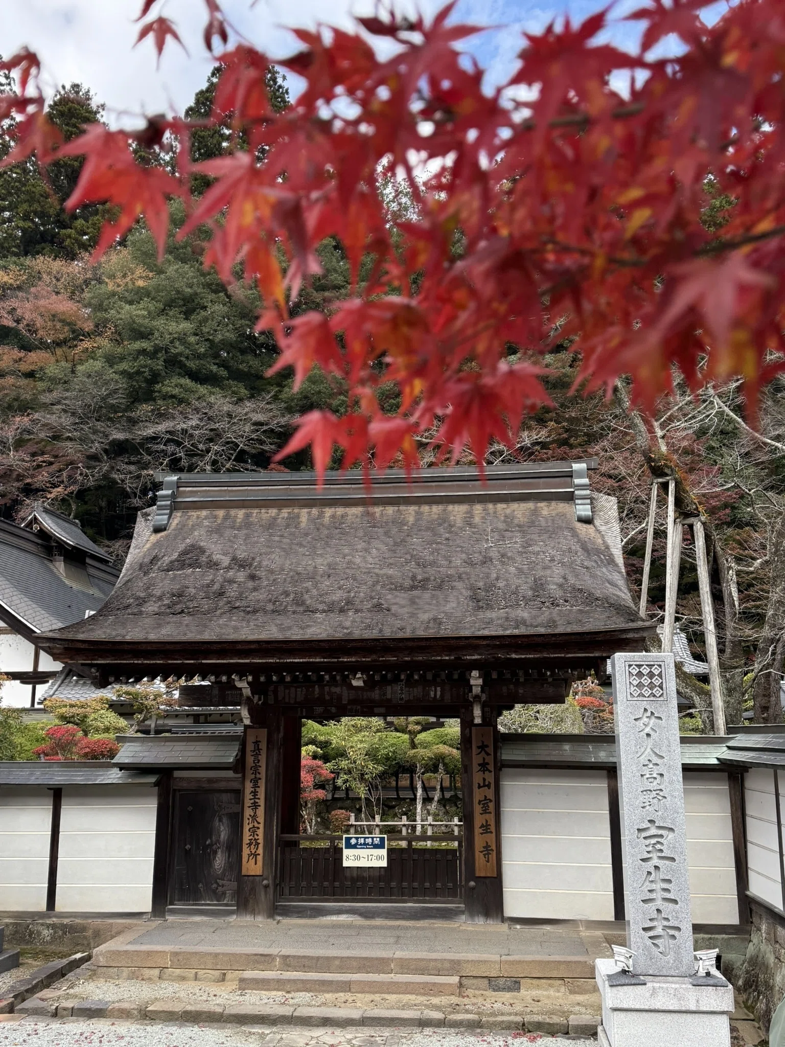 女人高野・室生寺①高野山「女人結界」の真実と、龍神に守られた神仏