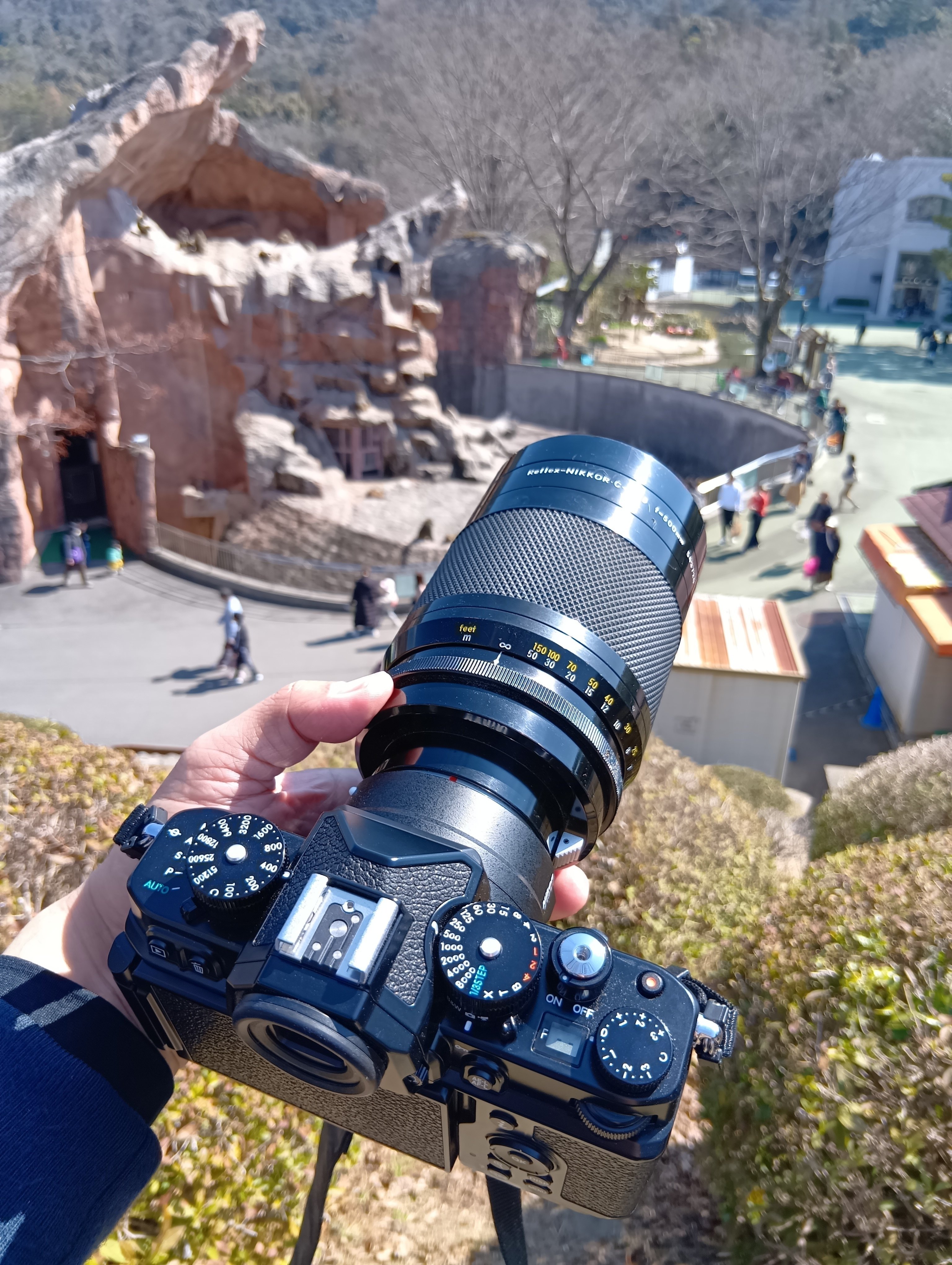 Nikon Zf と春の動物園｜Mosquito Brain Studio