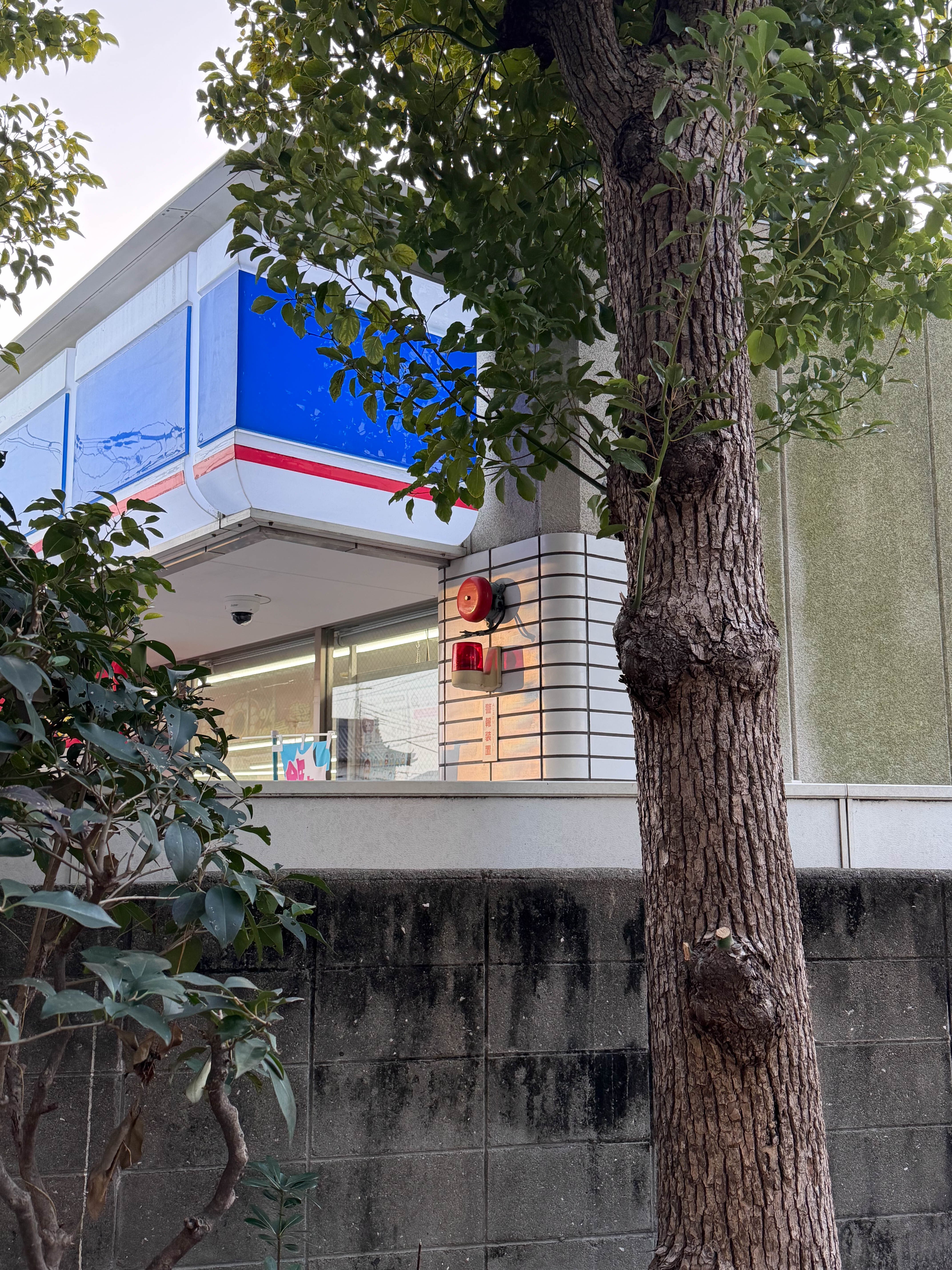 iPhone17Pro 写真の違和感｜週フォト #28｜写真にすくわれるNagi