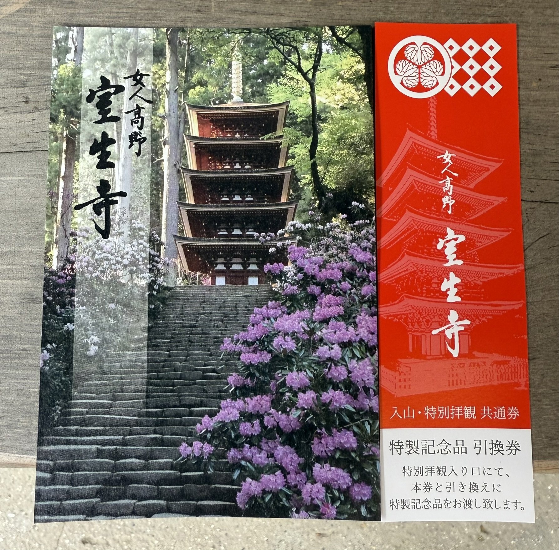 掛軸-1746　室生寺　網代智等　「不動心」　共箱　女人高野 女人高野と桂昌院｜室生寺｜大本山室生寺 座主／網代智明｜特別講話15