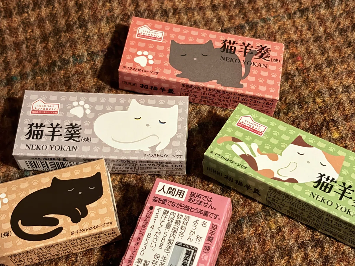 はたして猫は羊羹を好むのであろうか?(日記20260222SUN)|あい