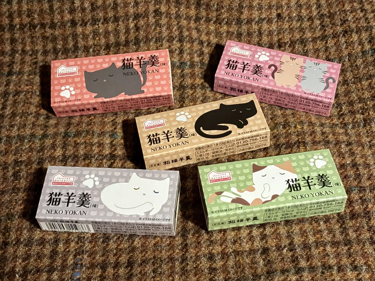 はたして猫は羊羹を好むのであろうか?(日記20260222SUN)|あい