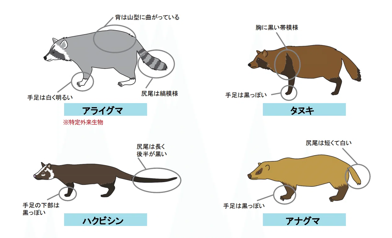 公の場での発言・インタビュー報道記録