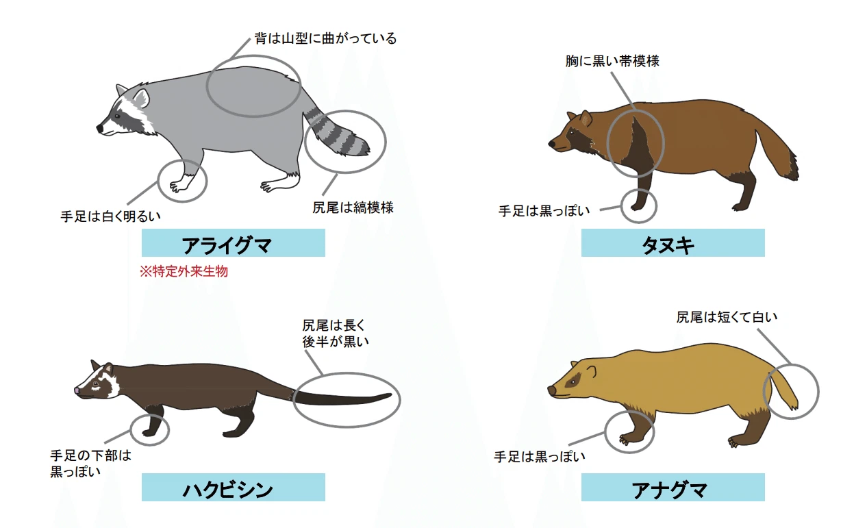活動歴および当時の関連ビジュアル記録