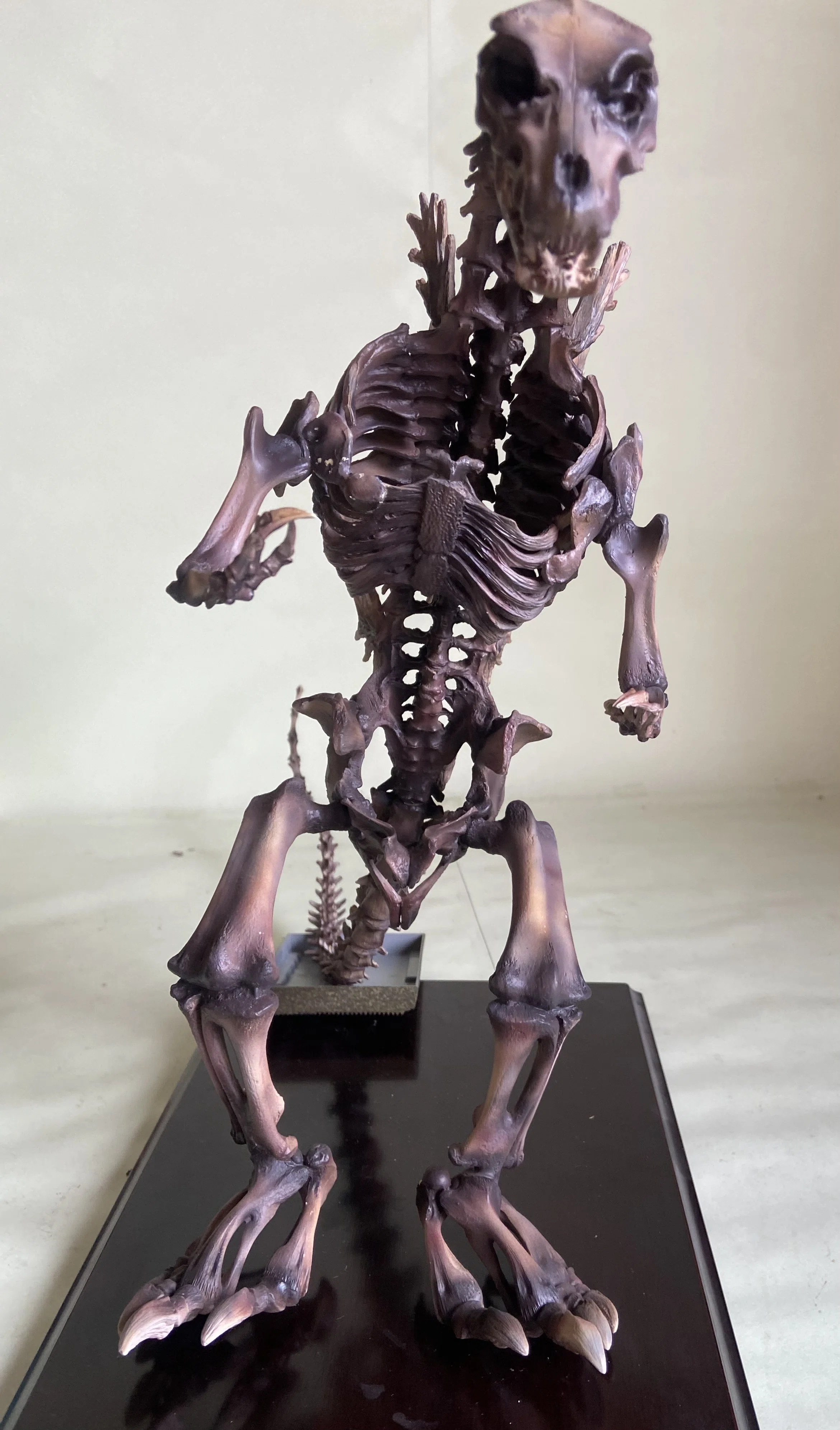 GODZILLA skeleton model kit M1-Go｜ゆる