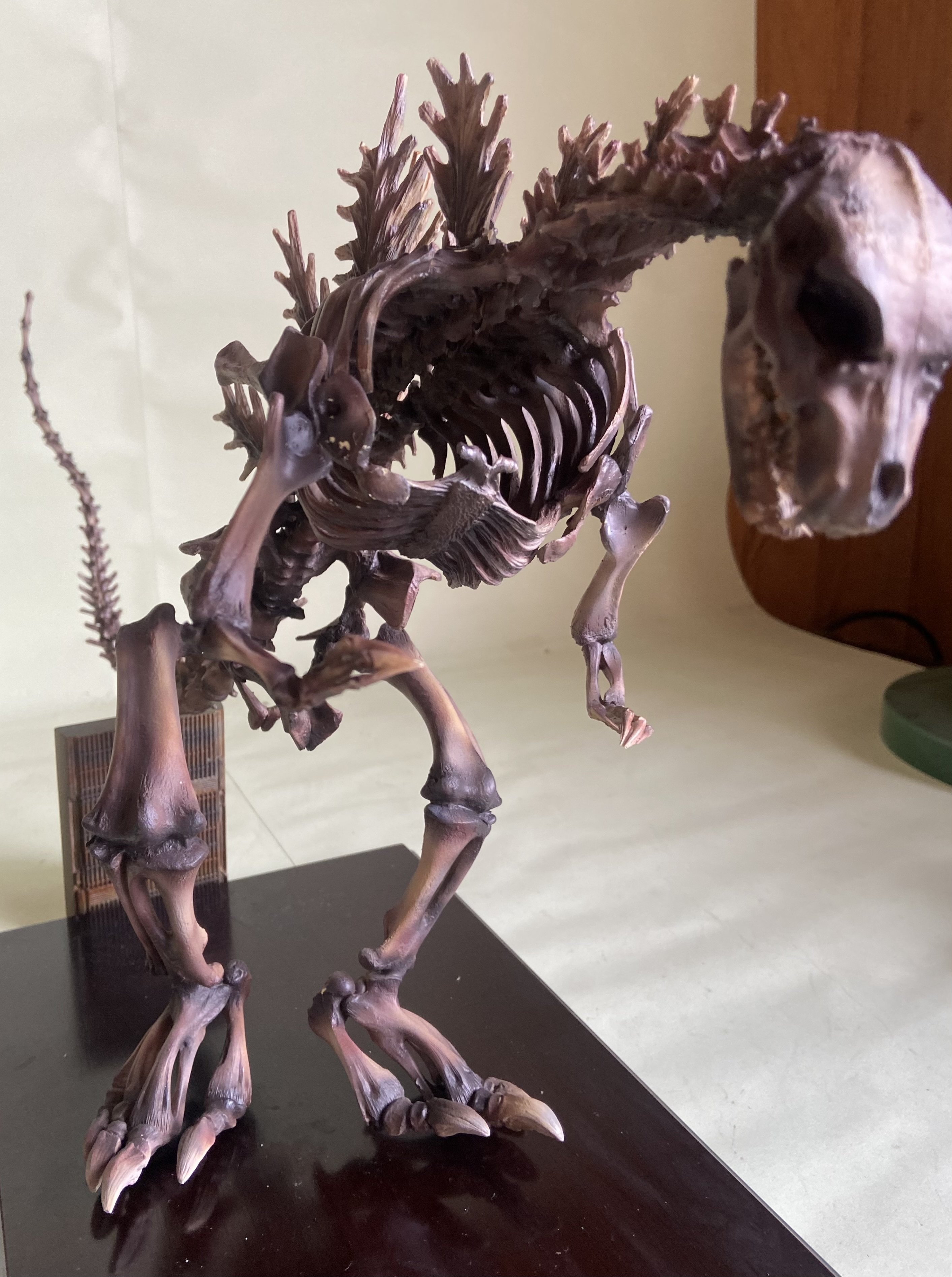 GODZILLA skeleton model kit M1号｜ゆる