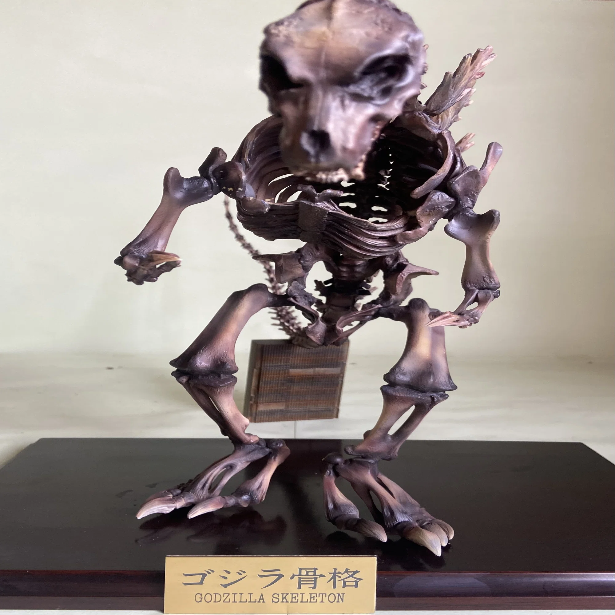 GODZILLA skeleton model kit M1号｜ゆる