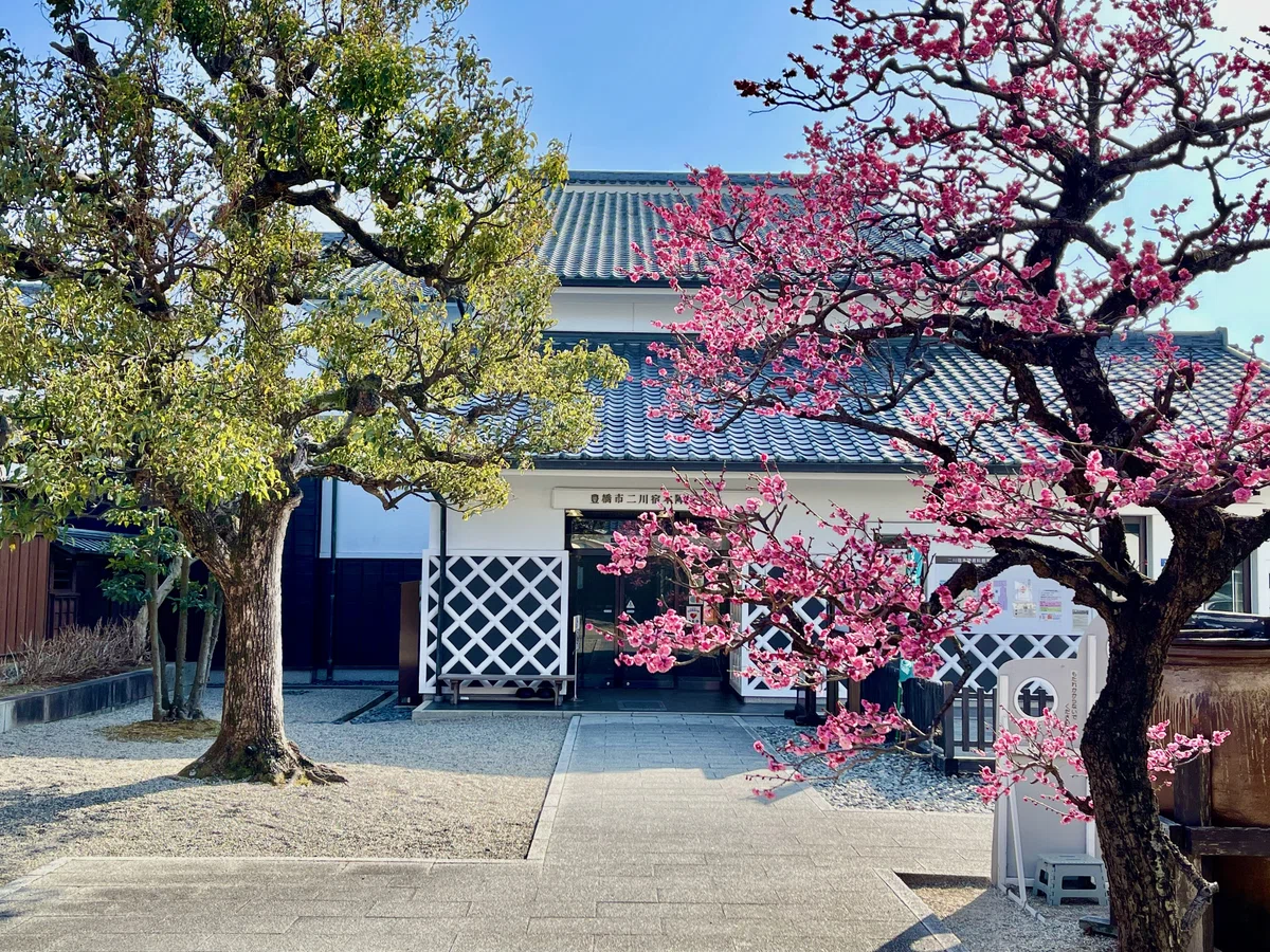 画像