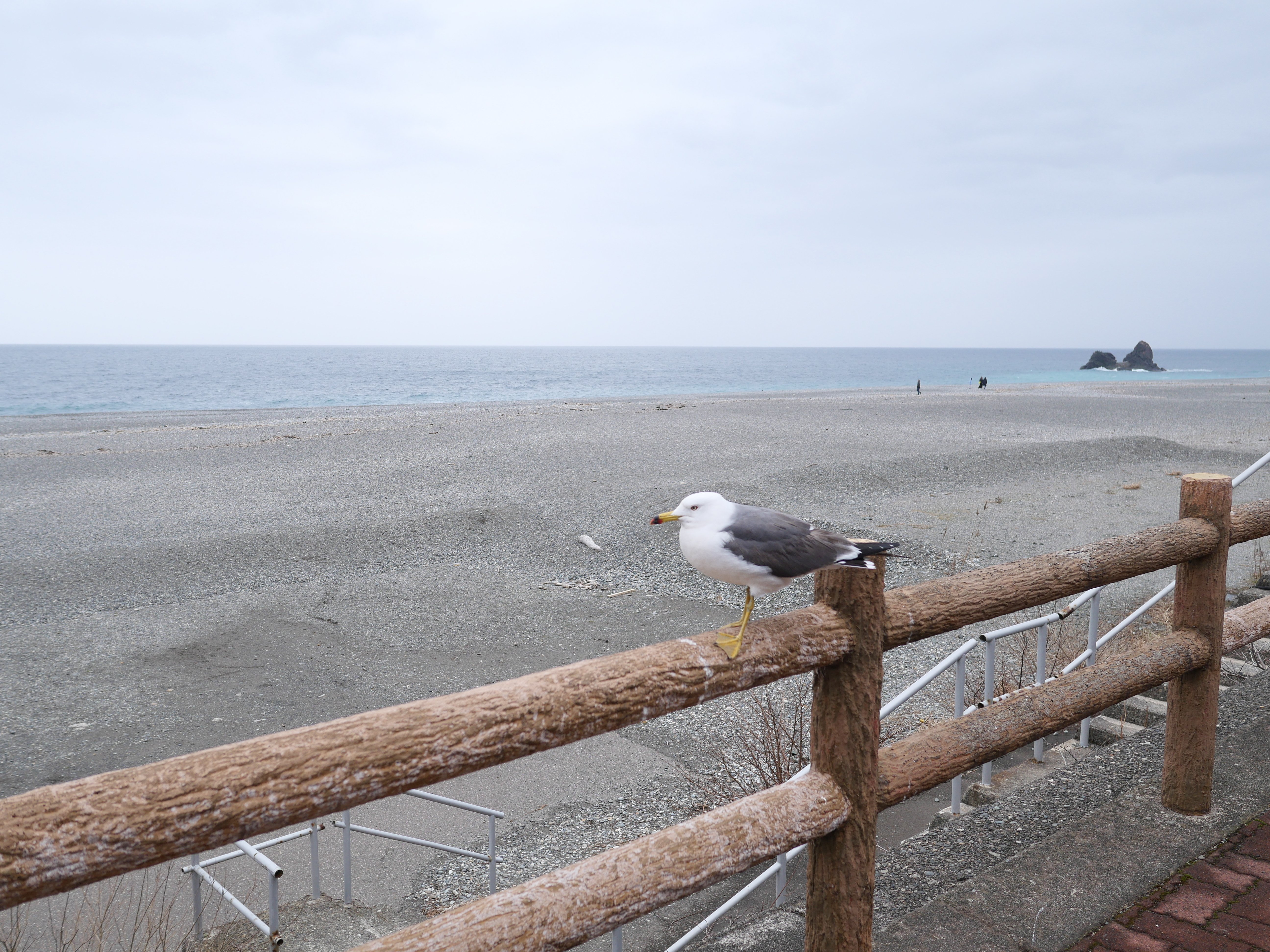 新潟・糸魚川で宝石探し。海で拾った石を「本気鑑定」した休日の記録
