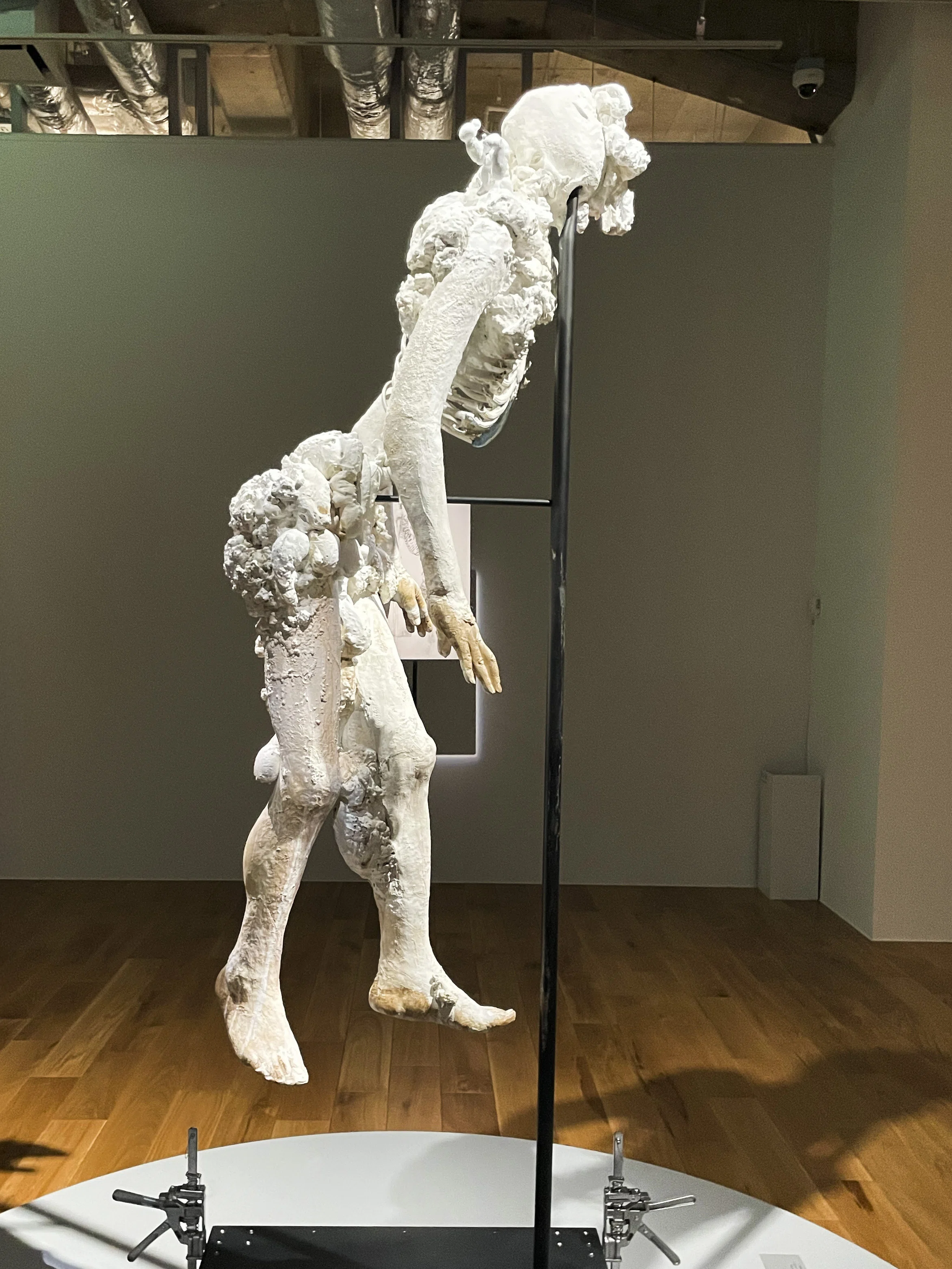 諏訪敦「きみはうつくしい」in WHAT MUSEUM｜かやは