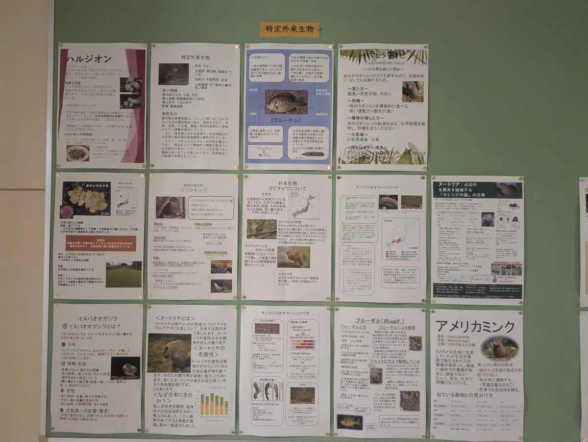 新宮高校】2年生 生物基礎の授業で、外来種や絶滅危惧種について調べ 