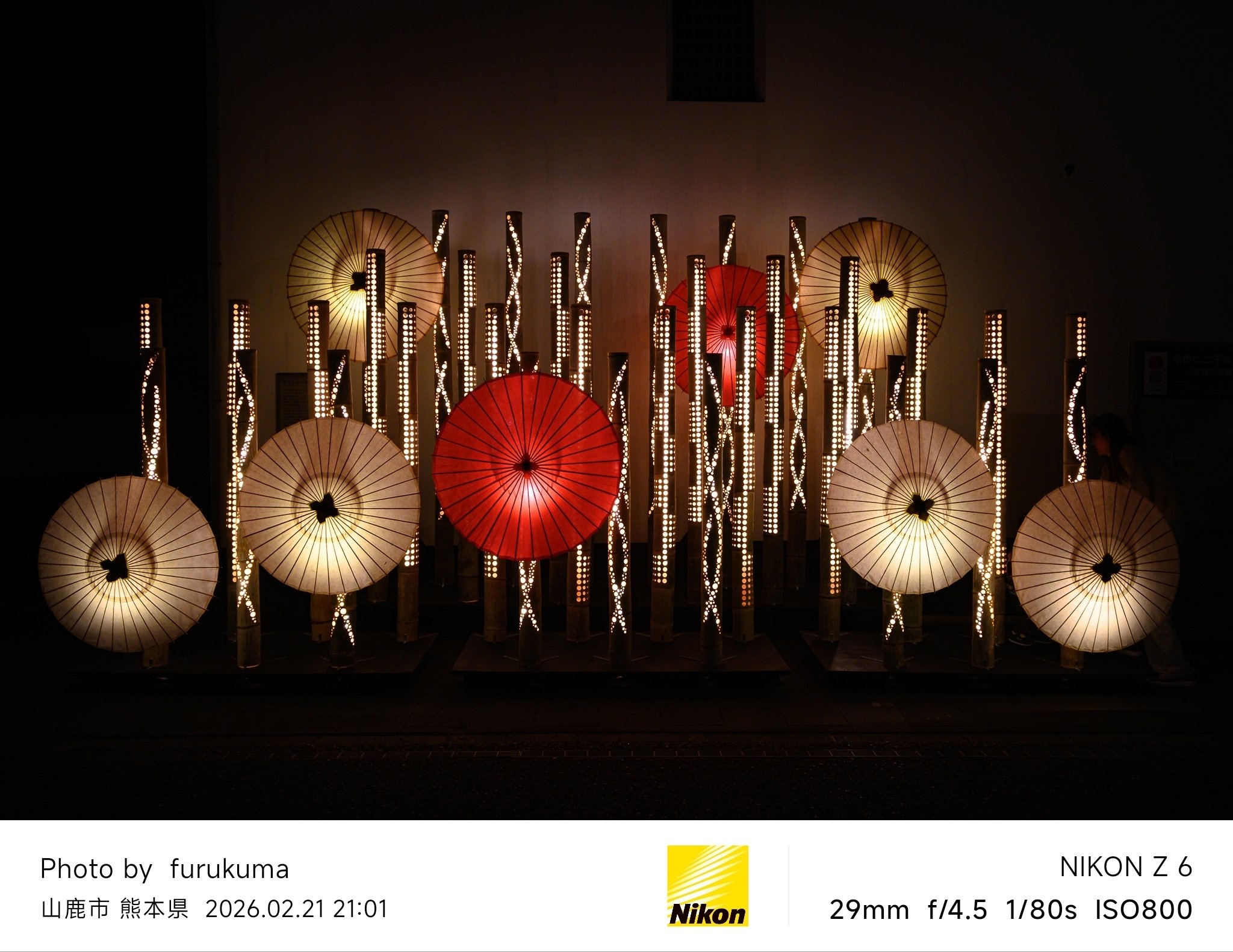山鹿灯籠浪漫・百華百彩2026 #5 | Nikon Z6｜furukuma