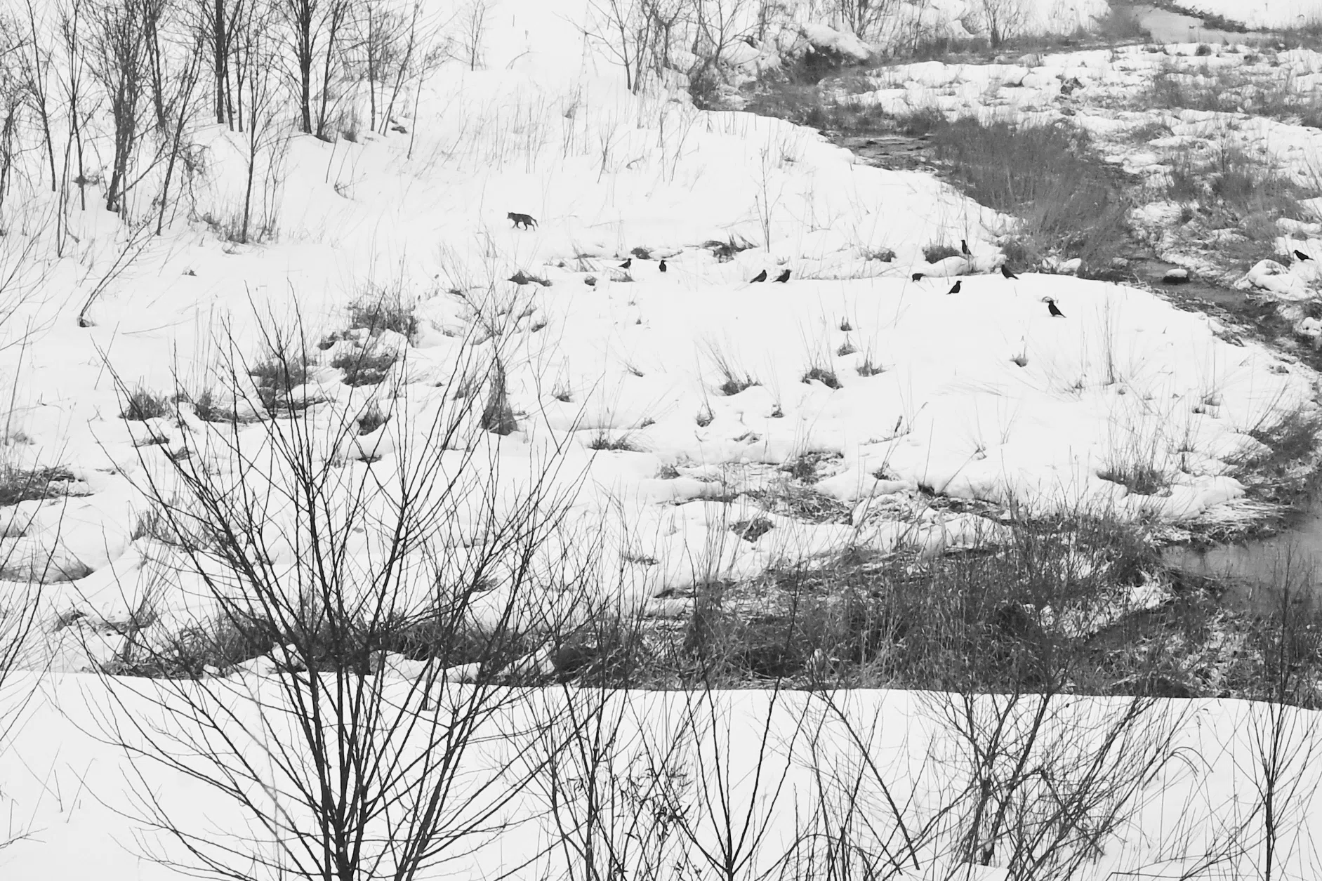 2026年2月の写活（冬に差す光、新しい一歩）｜ハラヒロシ / デザイン