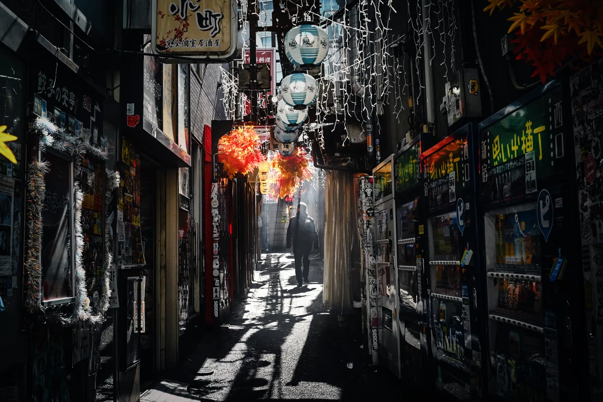 冬月ページ 2026年2月の写活（冬に差す光、新しい一歩）｜ハラヒロシ / デザイン
