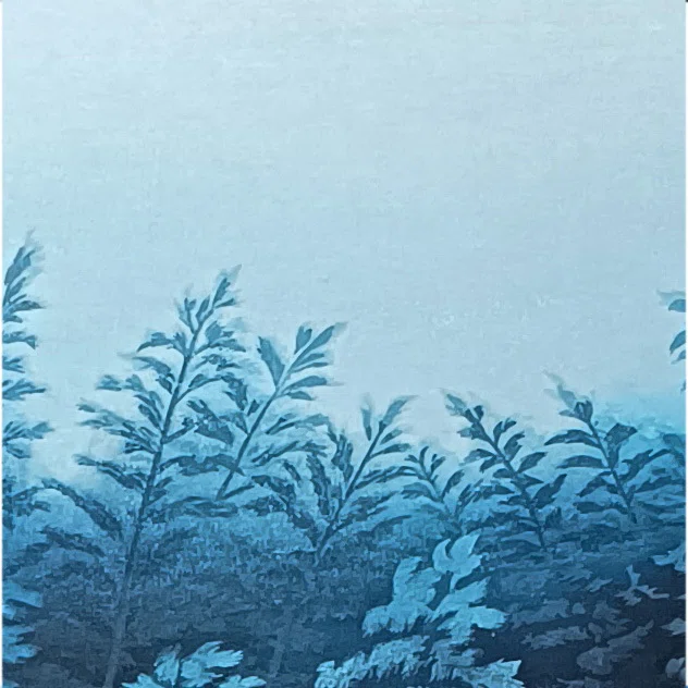多色摺りの版画の利点｜よよたろお