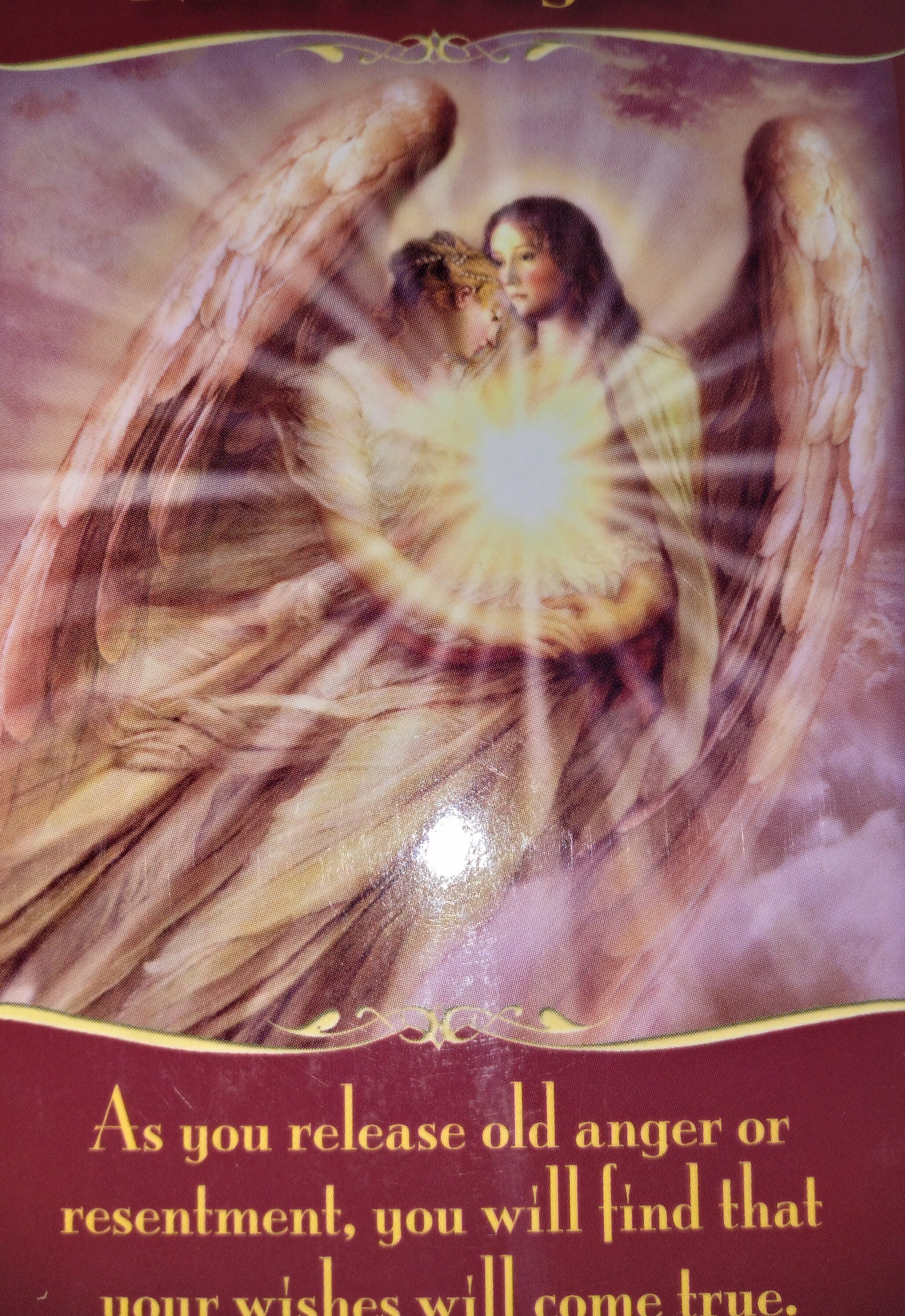 今日のオラクルカードからのメッセージ2026年2月25日｜ima