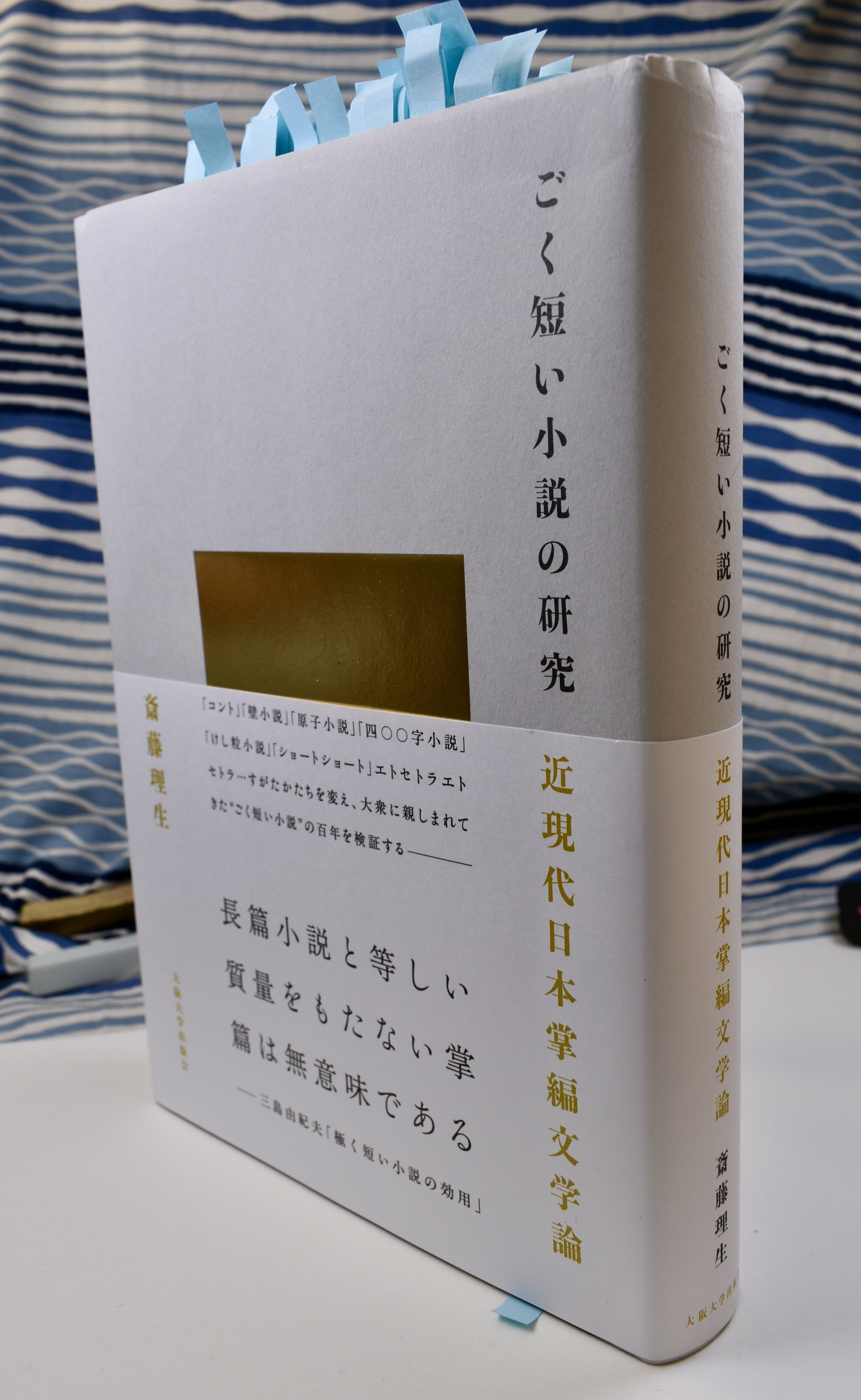 ごく短い小説の研究 ごく短い小説の研究: 近現代日本掌編文学論 | 斎藤理生 |本 | 通販