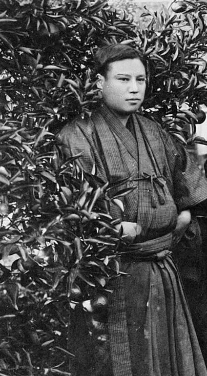 今日の一枚）今村紫紅：護花鈴｜artoday - chiaki