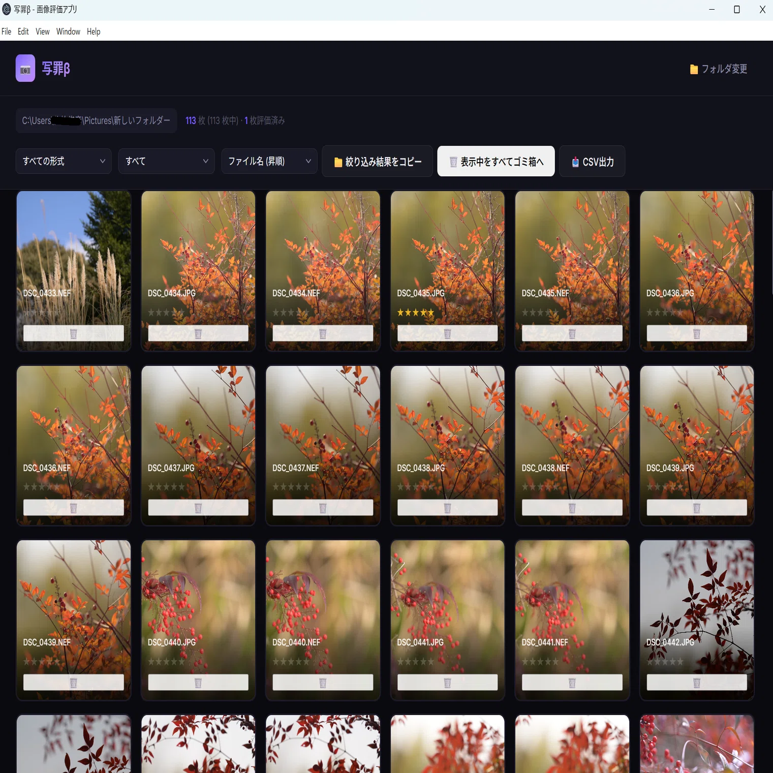 無料配布】最強の写真セレクトアプリ「写罪β」が完成！…そして辿り着