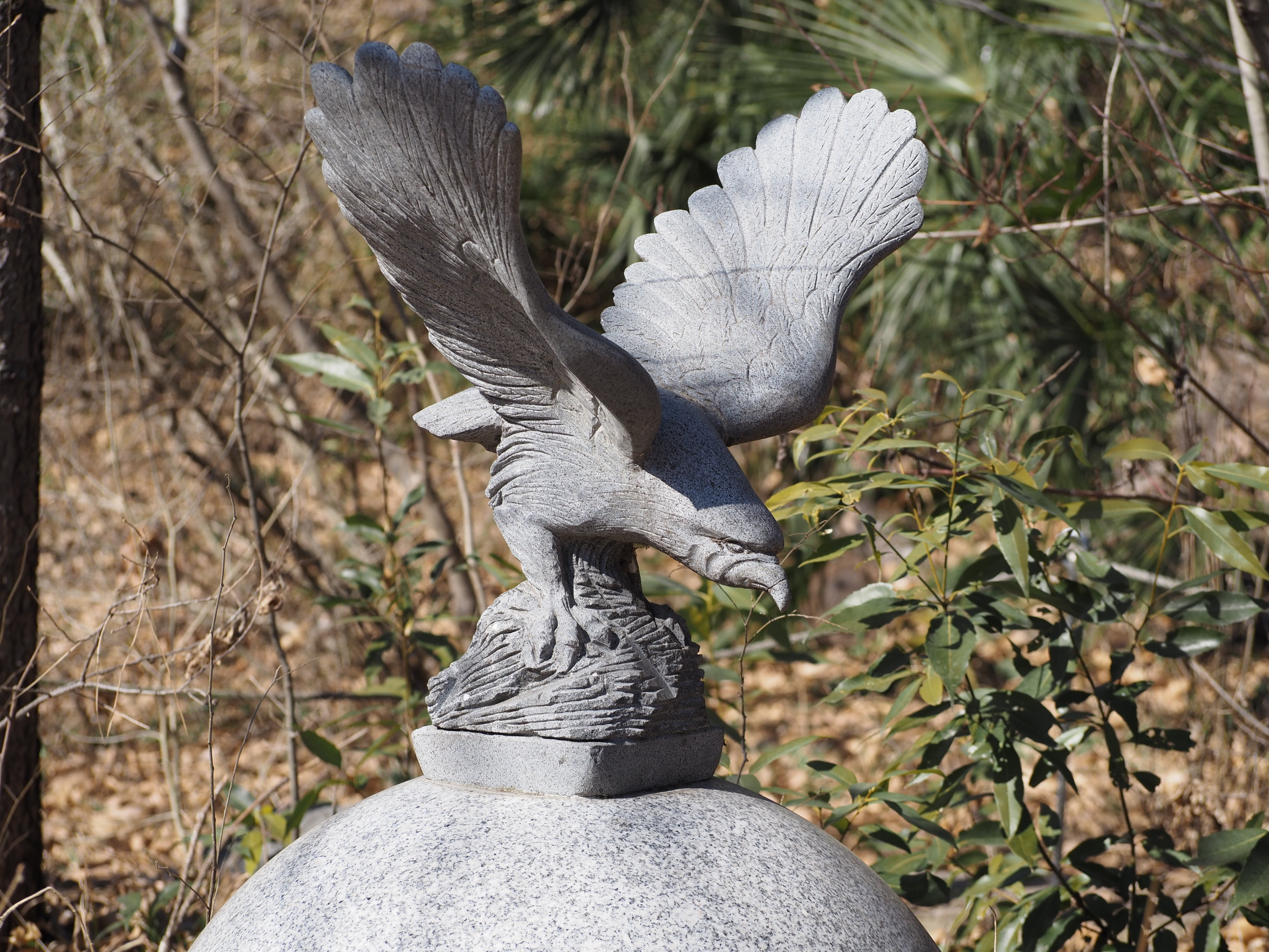 野鳥の森という魅力的な名前に惹かれて、荒川大麻生公園へ｜わた