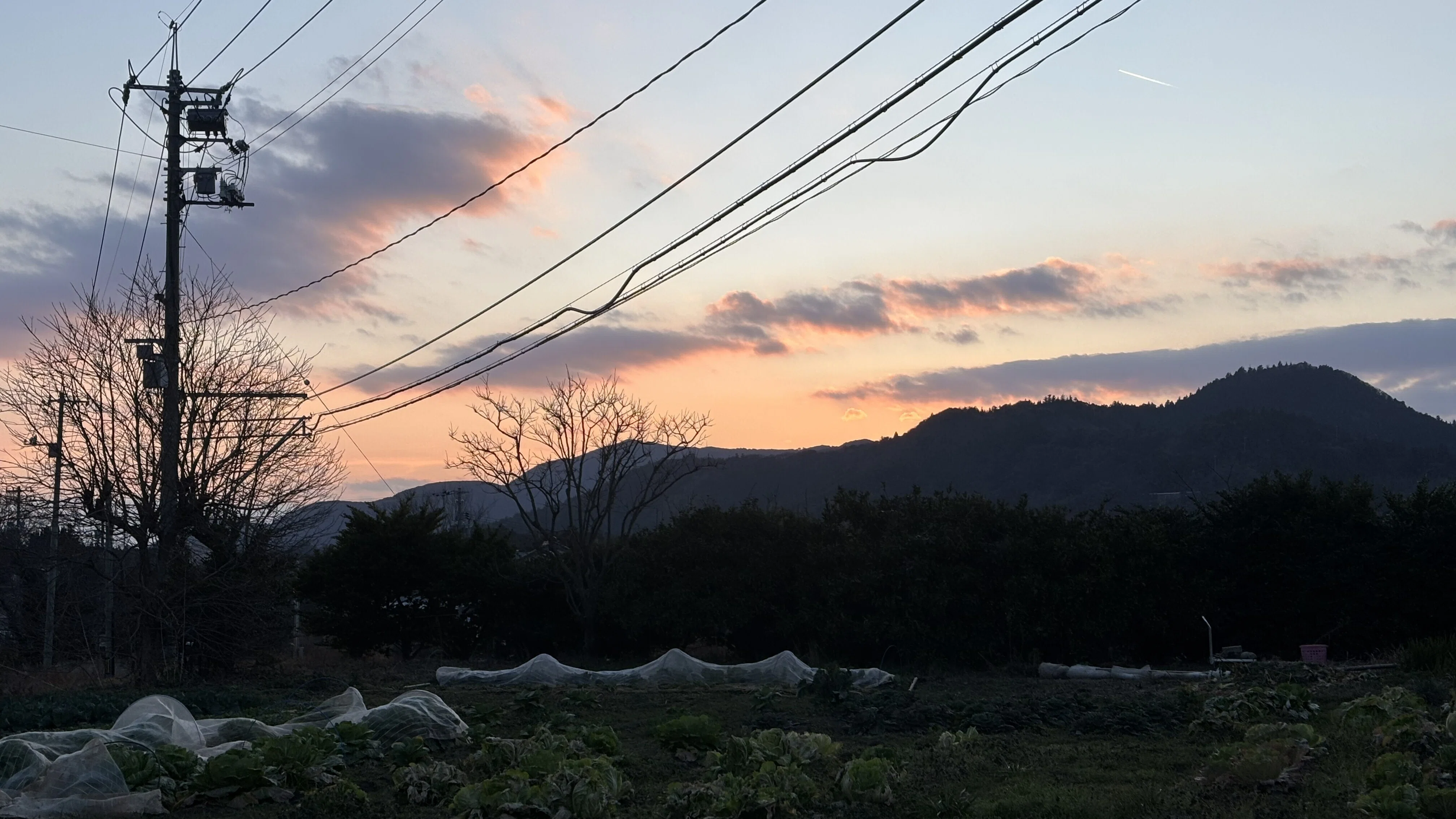 旅立ちの季節～つなかけのお土産はいかがですか？～｜隠岐桜風舎