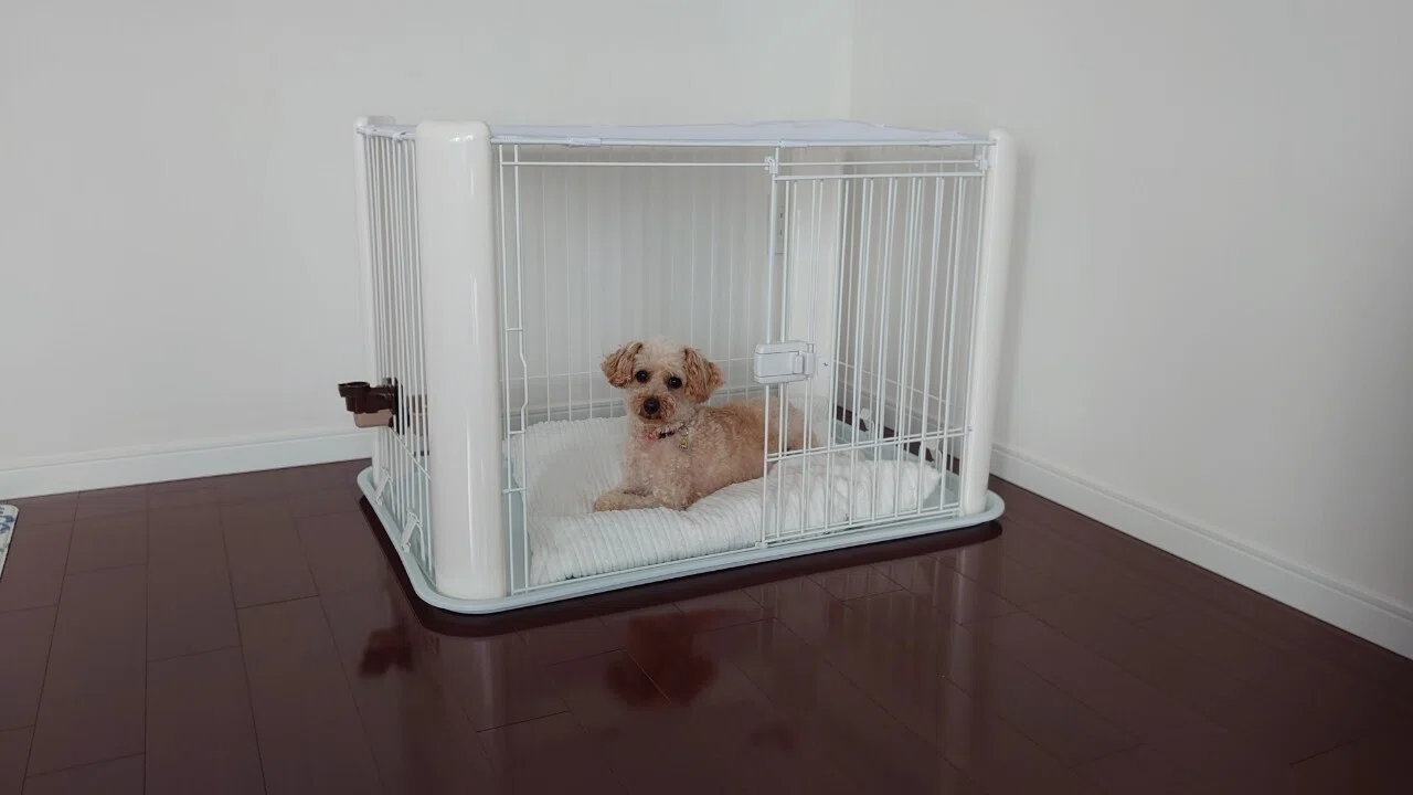 犬と安心安全に暮らすために、我が家が手放したもの｜野口ゆき～整理