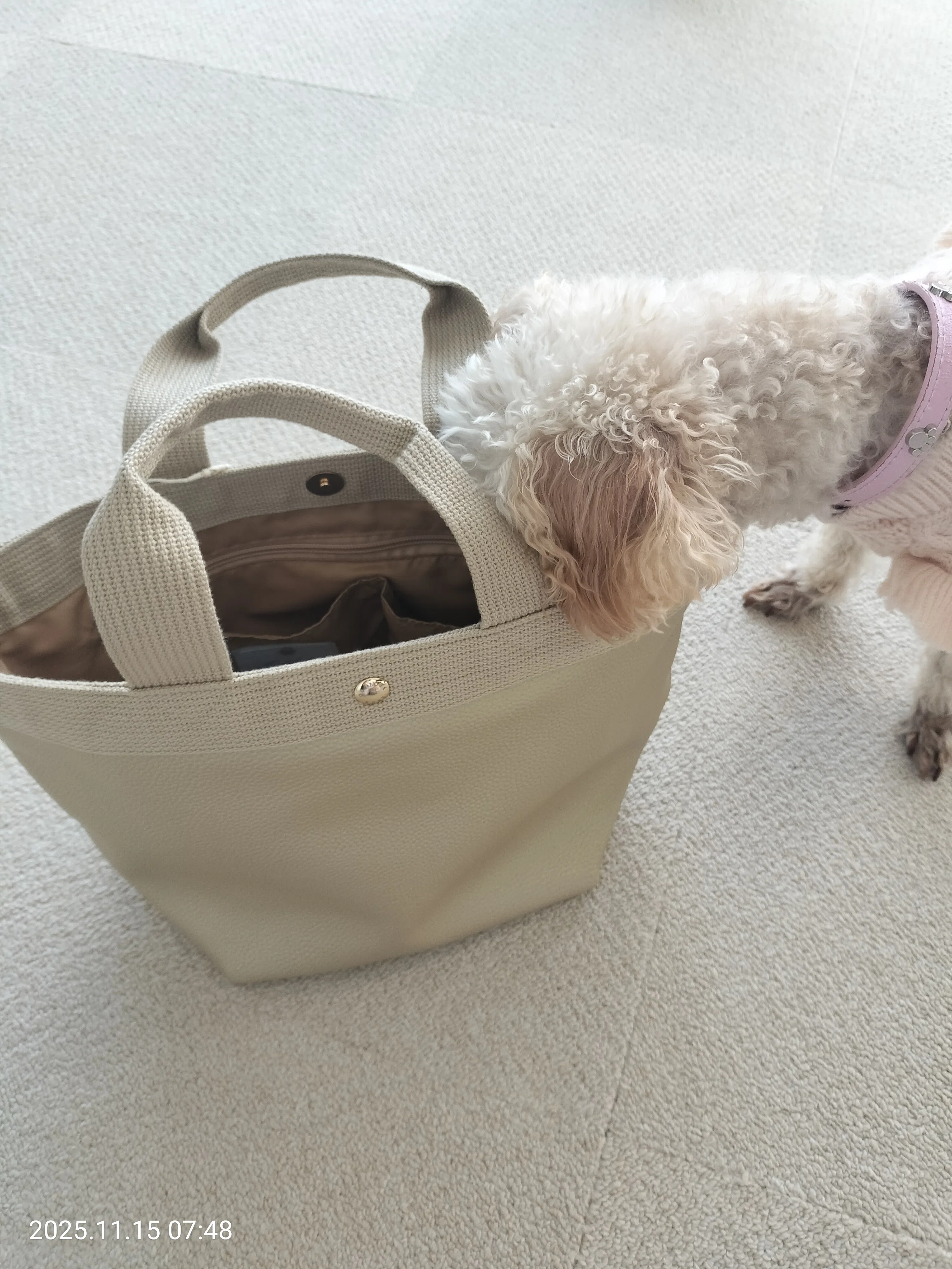 犬と安心安全に暮らすために、我が家が手放したもの｜野口ゆき～整理