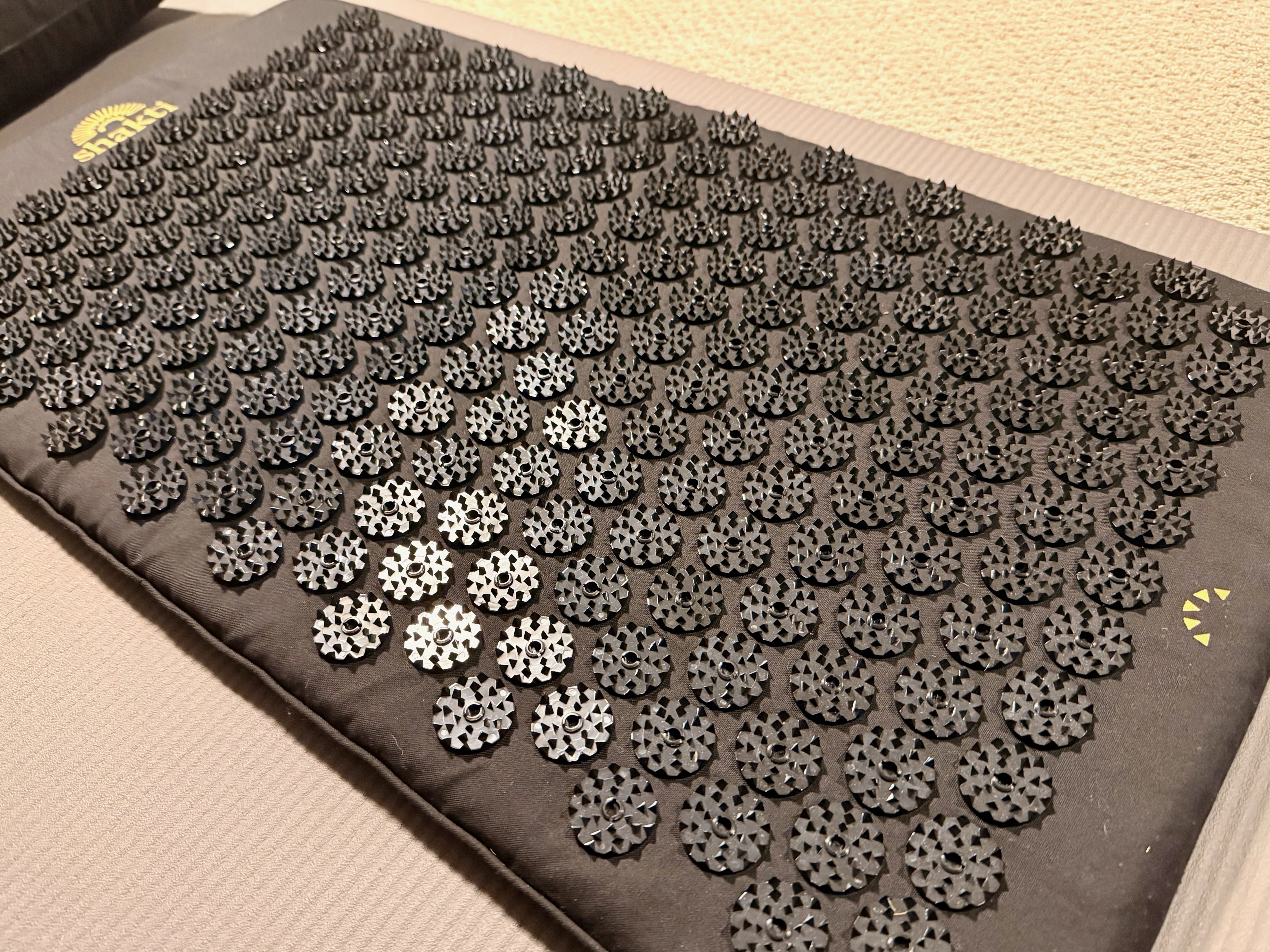 ぬう、これが世に聞くシャクティマット知っているのか、雷電！｜NEO