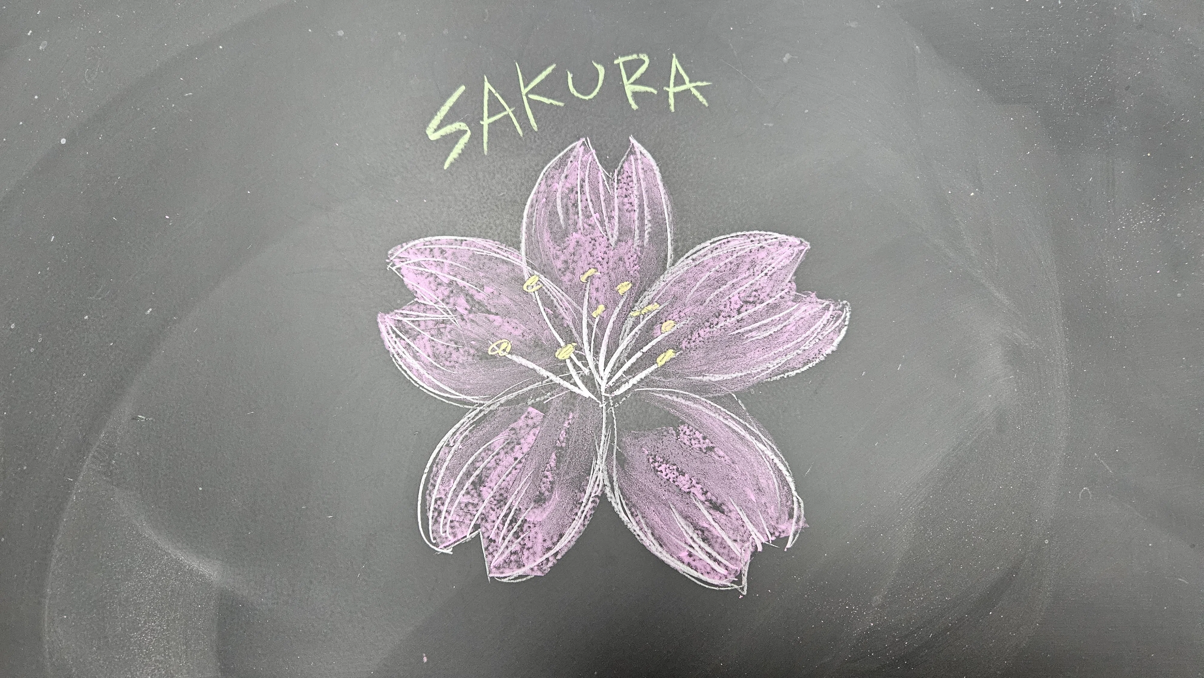 保存版】卒業式の黒板アート「桜」の描き方決定版！絵が苦手でも“星