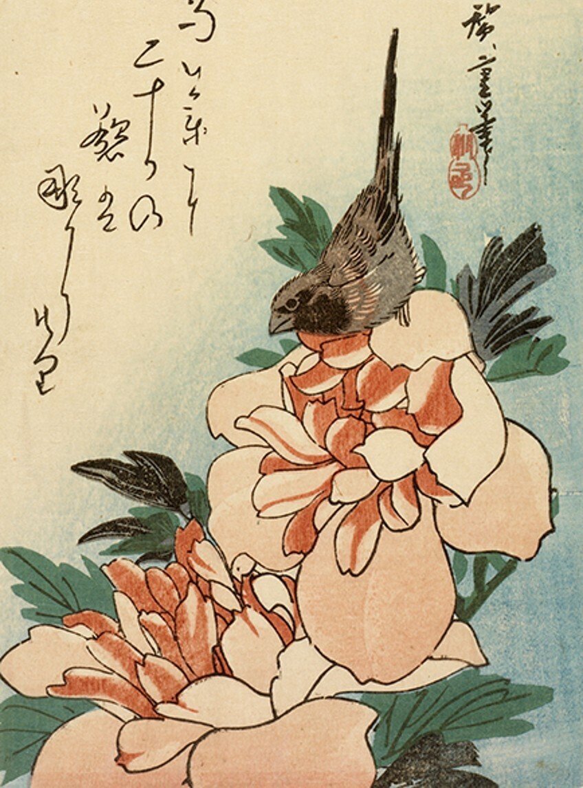 花鳥版画展」出品作①歌川広重《烏瓜に目白/芍薬に小鳥》天保3-6（1832