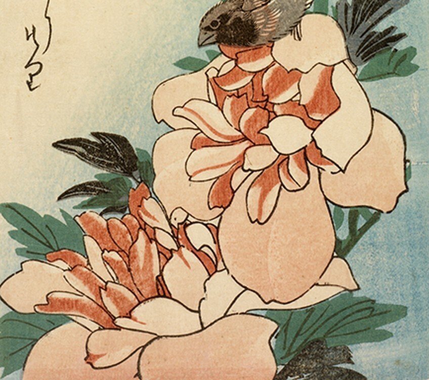 花鳥版画展」出品作①歌川広重《烏瓜に目白/芍薬に小鳥》天保3-6（1832