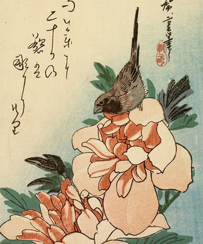 花鳥版画展」出品作①歌川広重《烏瓜に目白/芍薬に小鳥》天保3-6（1832