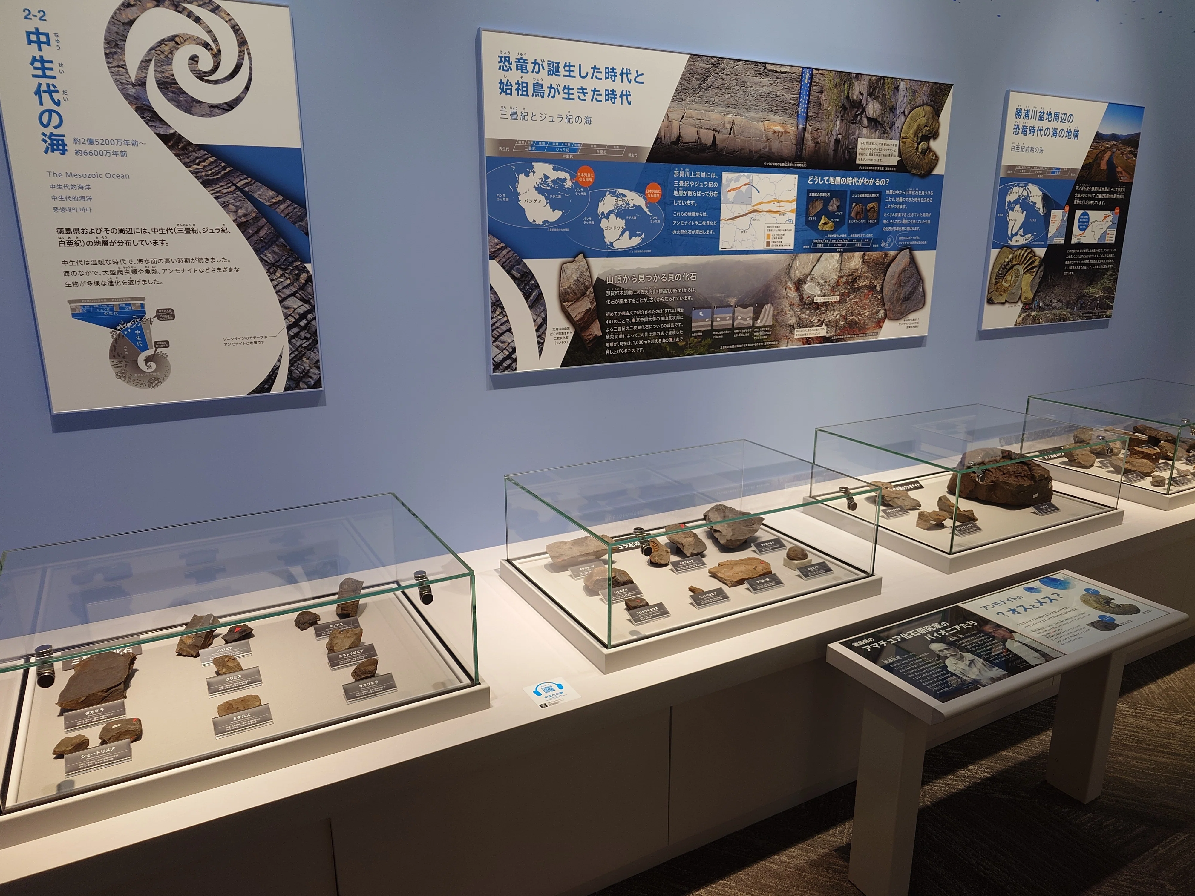 2026/2/25 徳島県立博物館ですよ｜始祖鳥堂まふ（M.A.F.）