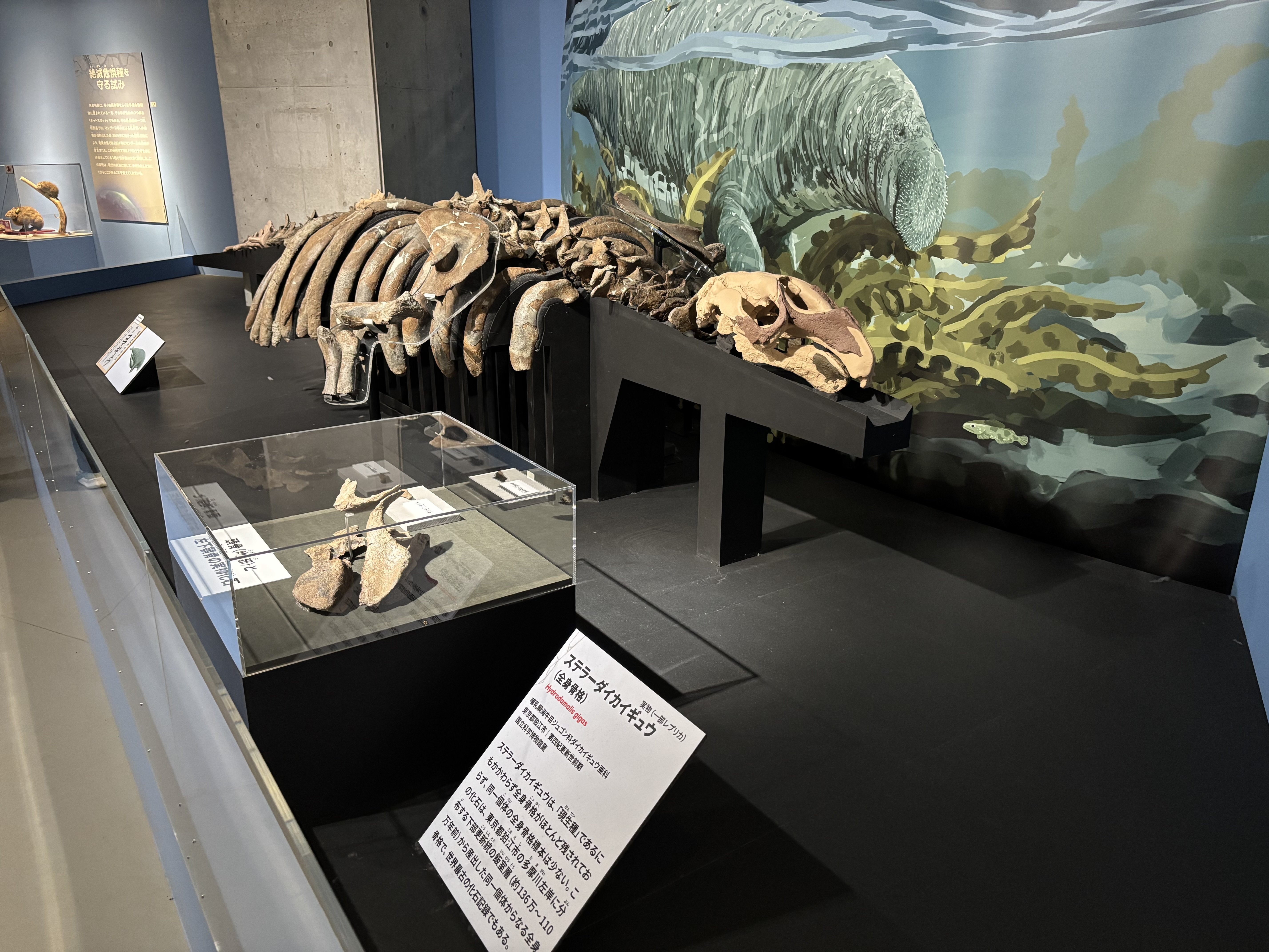 大絶滅展と多摩川138km｜東陽一