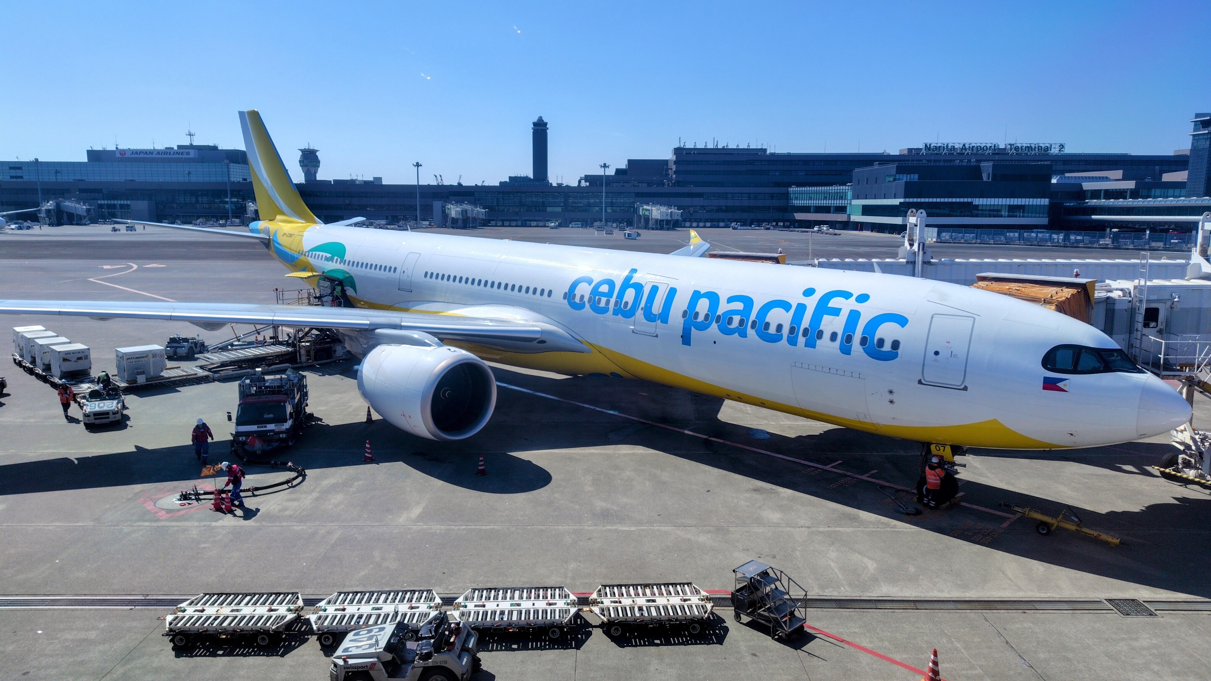 フィリピン ルソン島で鳥を観る（前編）｜mountori