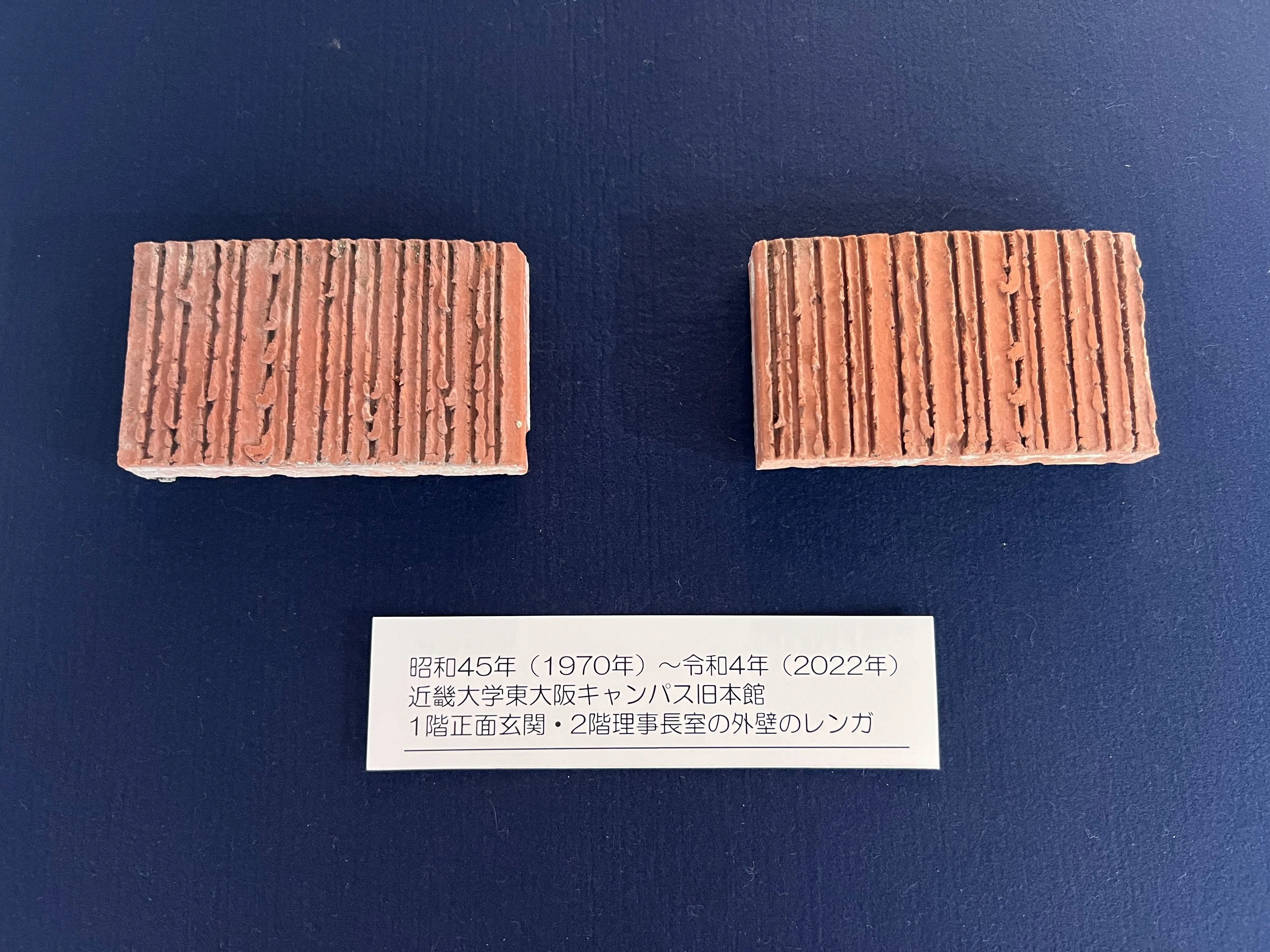 2025年度企画展「昔の近大もっと見てって！―写真とモノでたどる100年の