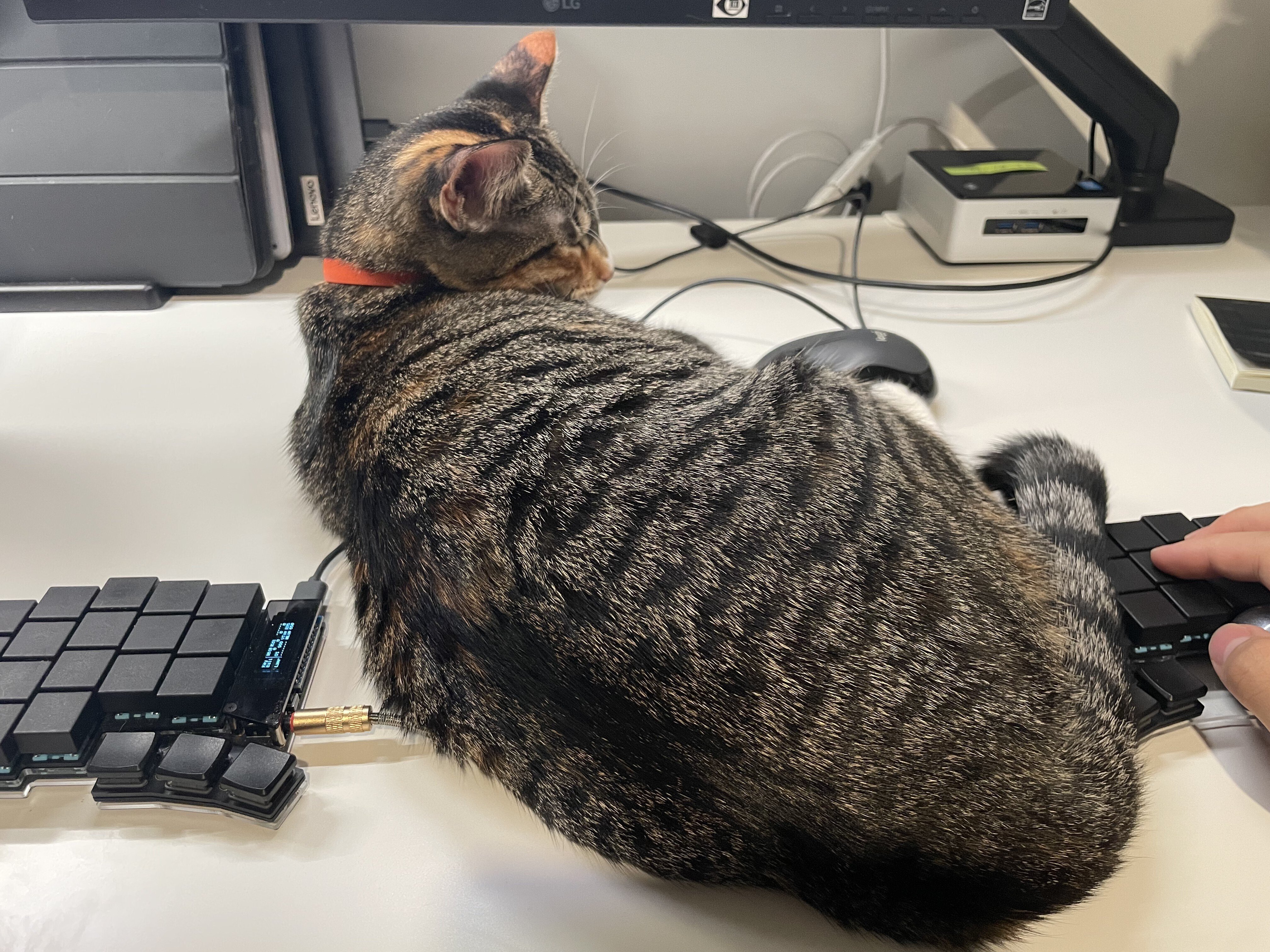 キーボード選びの終着地（keyball39）｜Hisashi | カナダ在住2年目