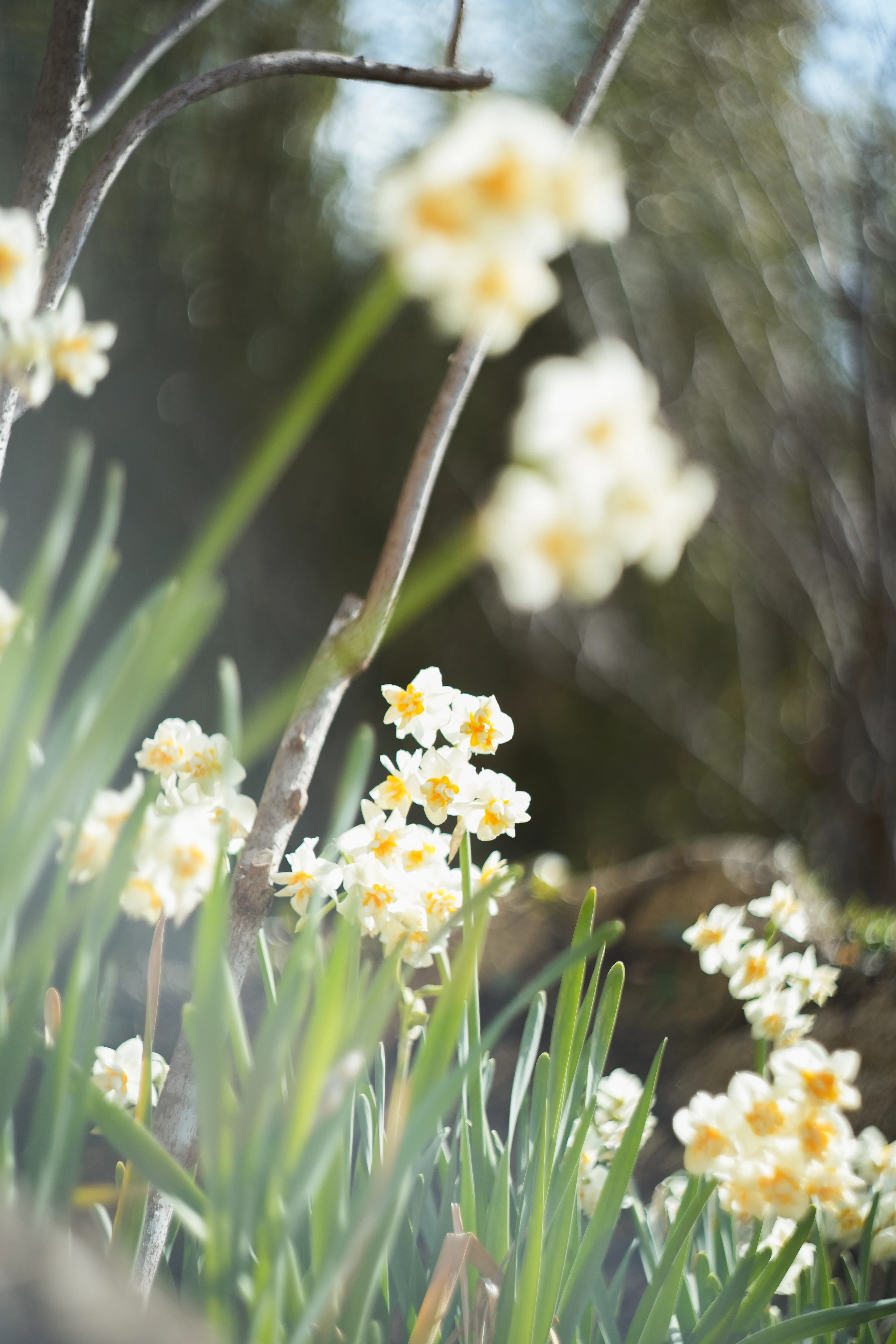 Helios 44-2というオールドレンズに手を出したら、当たり前のことに