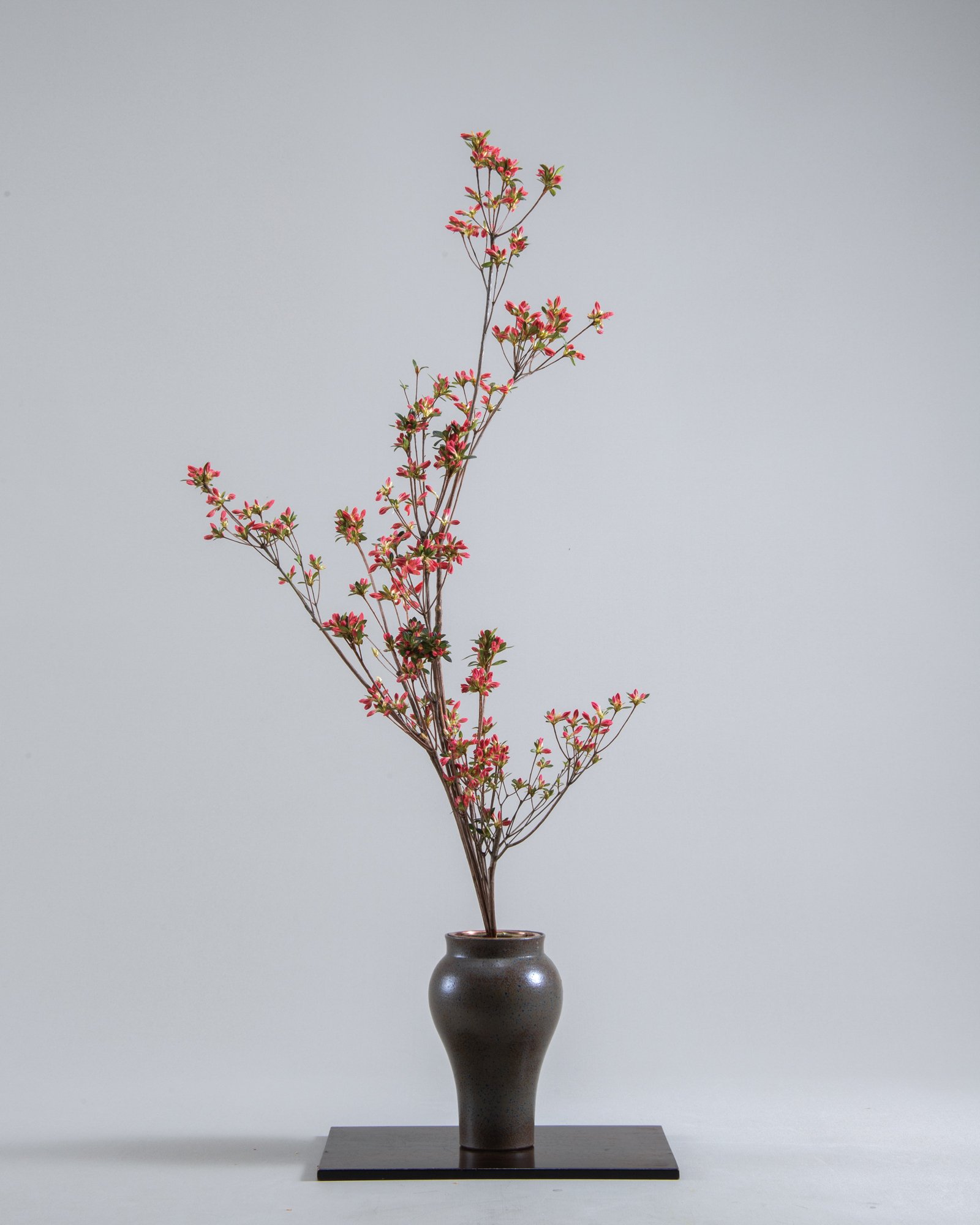 生花=軽やかに広がりを見せて／生花＝曲線が引き立つ流麗な花形で