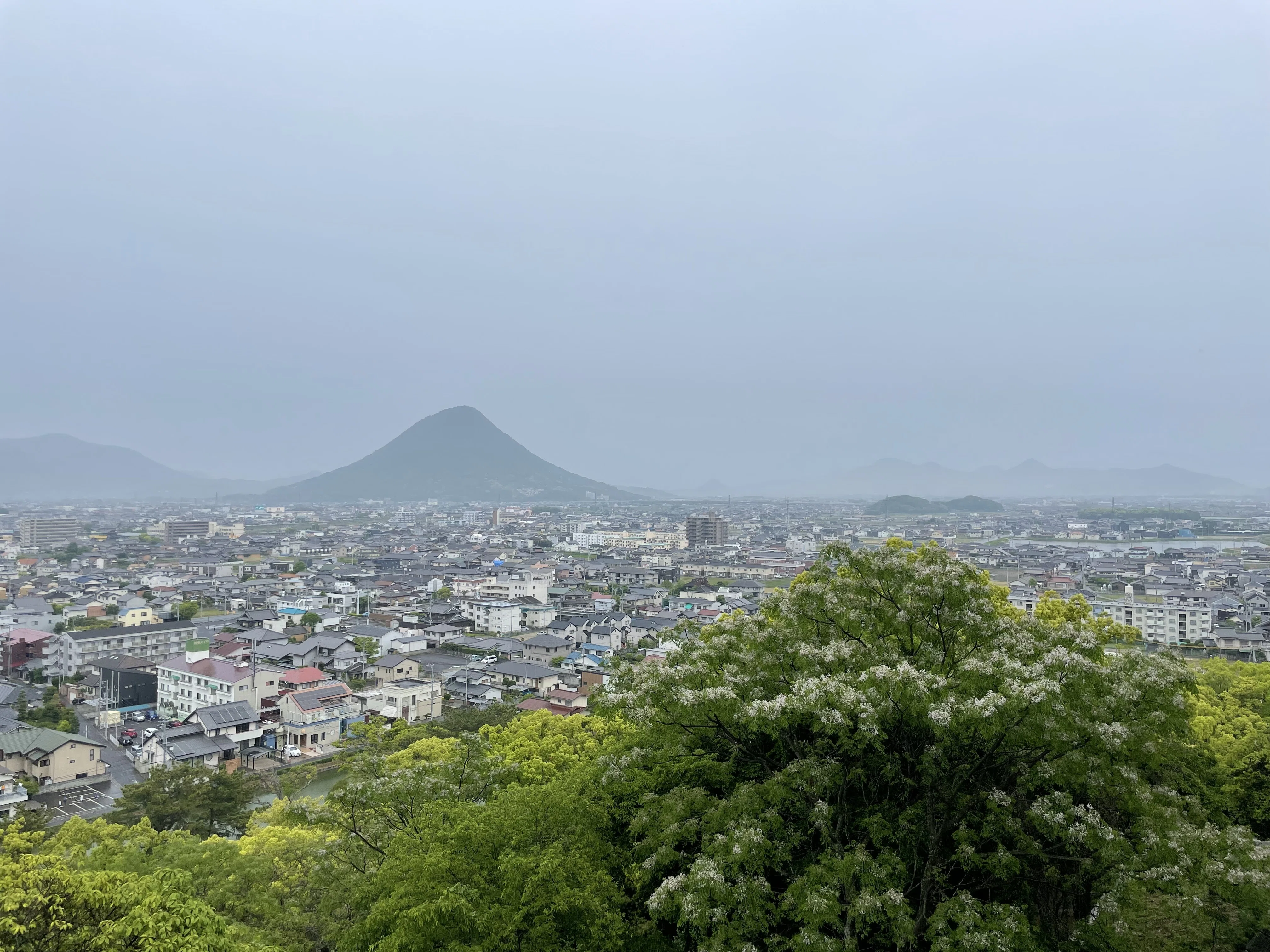 近江源氏の遺した現存天守と仁清コレクション【丸亀城：京極氏】香川県